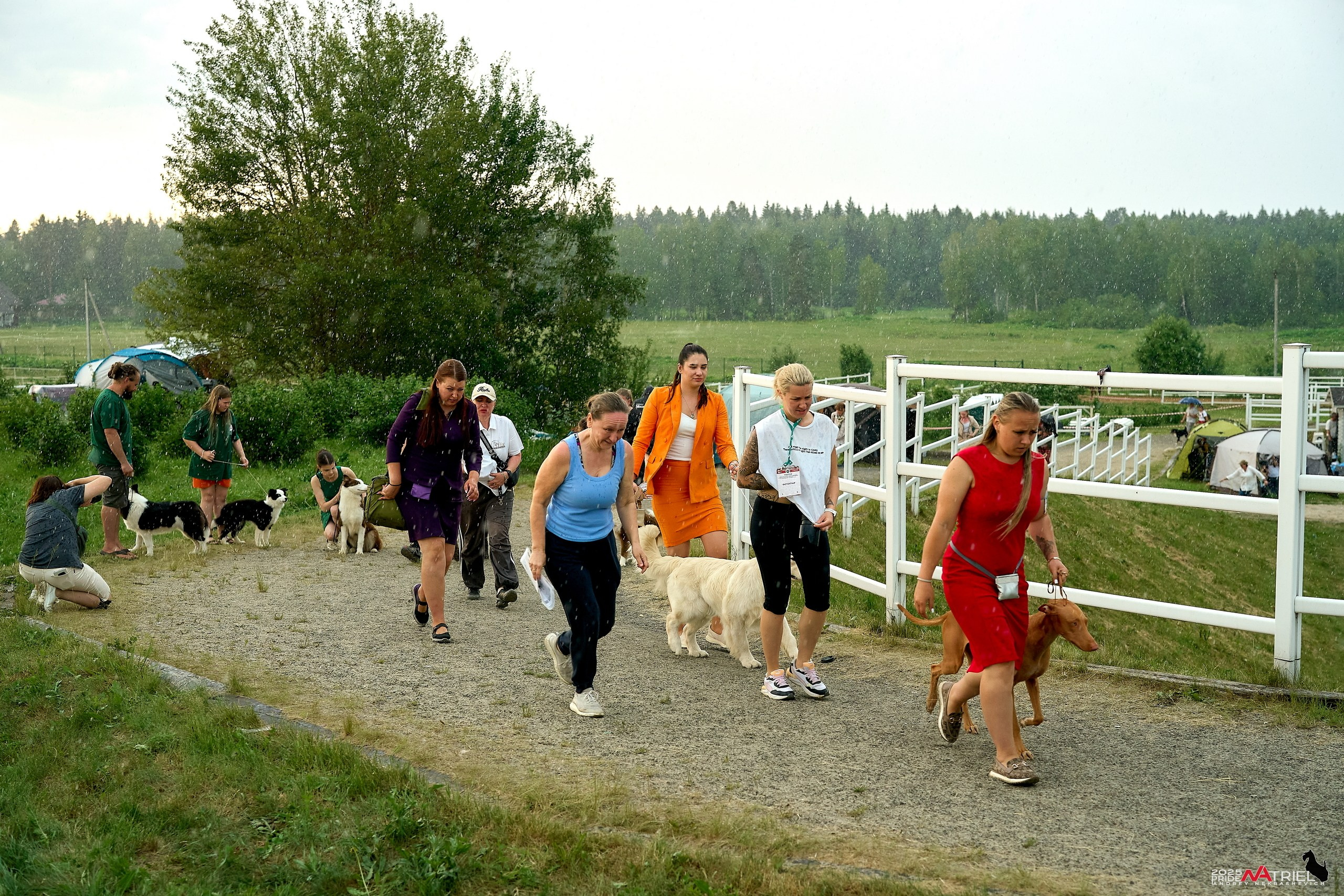 Выставка собак РОССИЯ — 2025