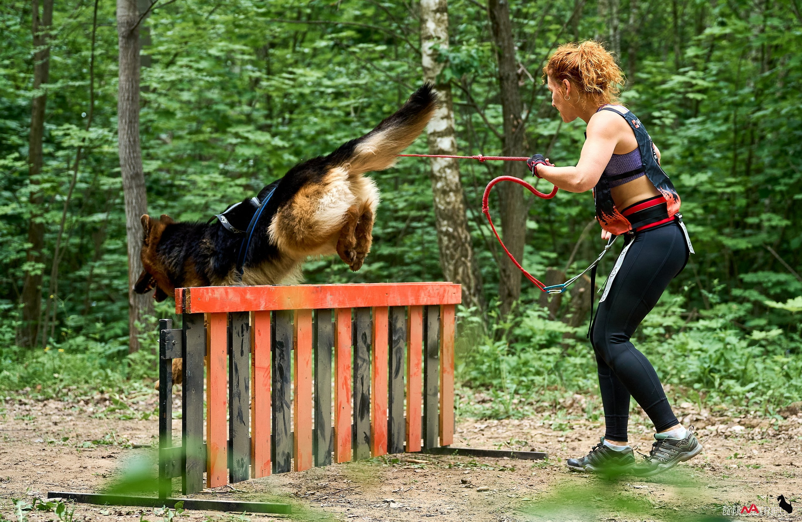 Russian Extreme Dog Trail — 2025