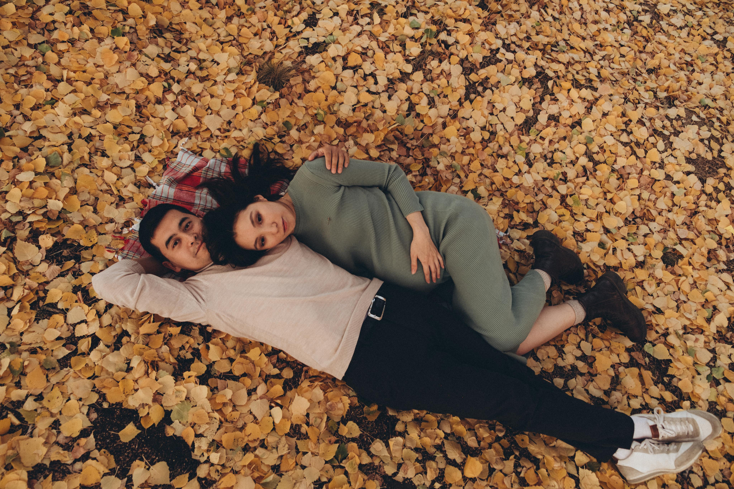 Рекомендации. Крис Богомазова