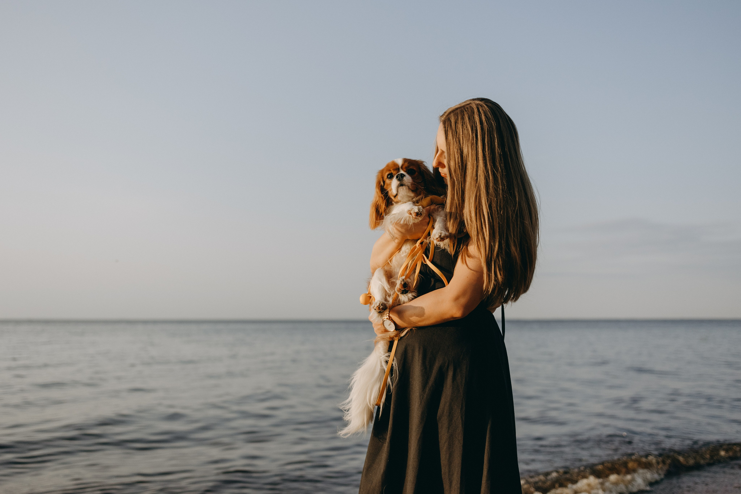 Лу и его семья. Фотограф — Анималист | Санкт-Петербург