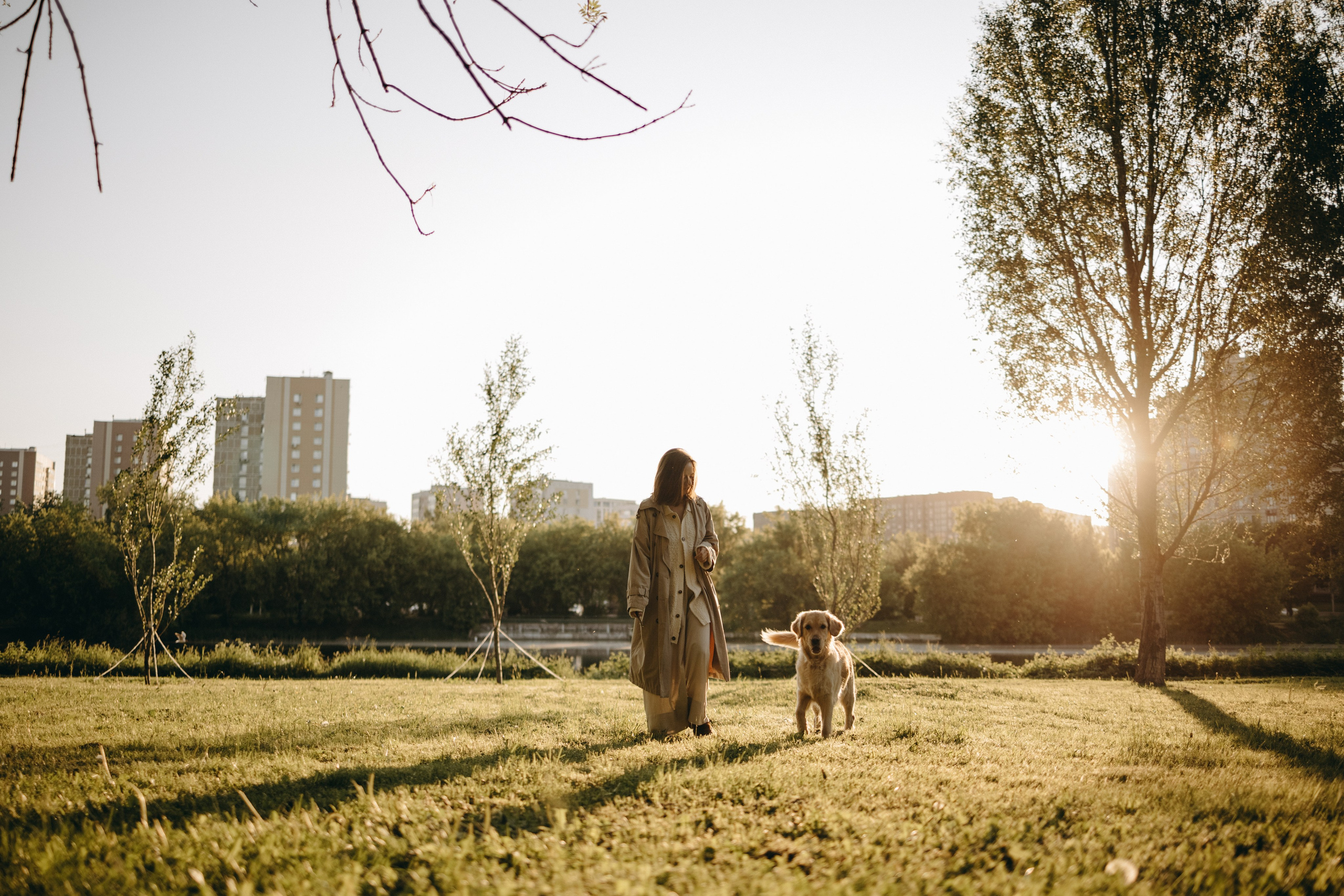 Пенни и ребята. Фотограф — Анималист | Санкт-Петербург