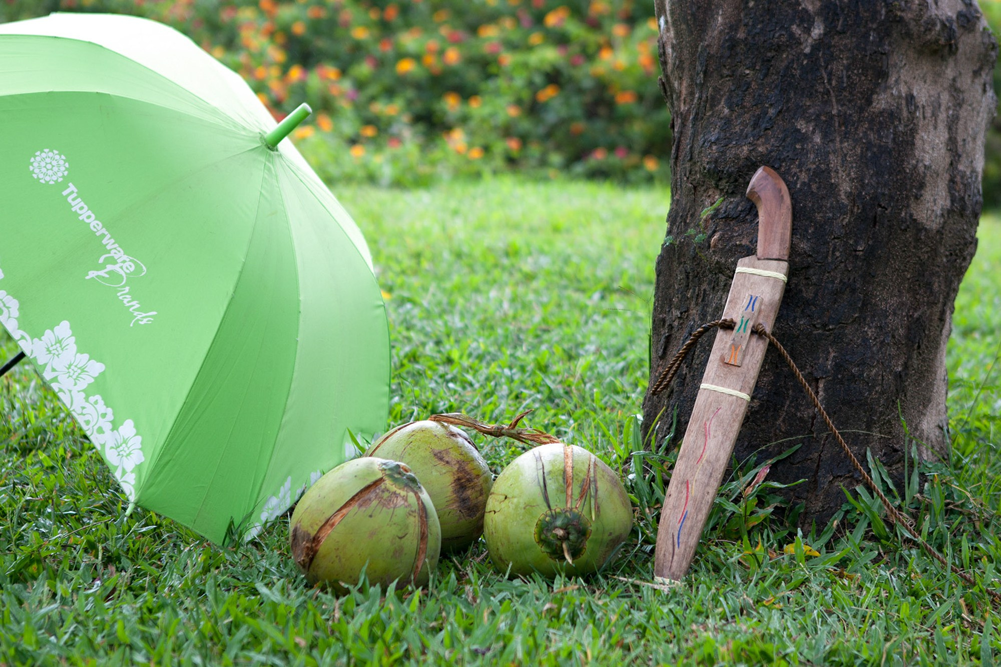 Фото и видео съемка мероприятия. Фото и видеосъемка