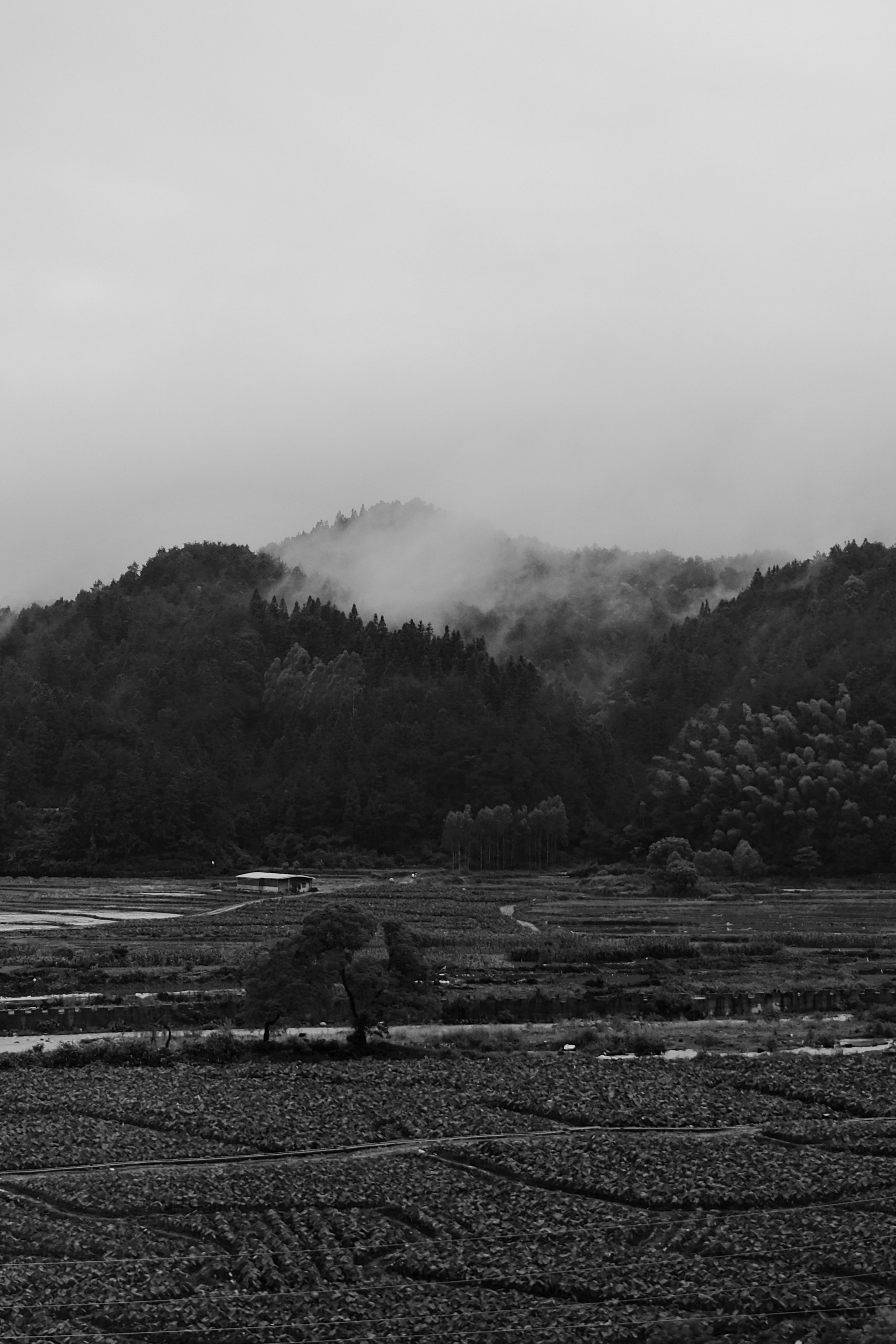 Yangshuo China Guiling. Фотограф В Гуанчжоу и Шэньчжэнь Андрей Лопатин