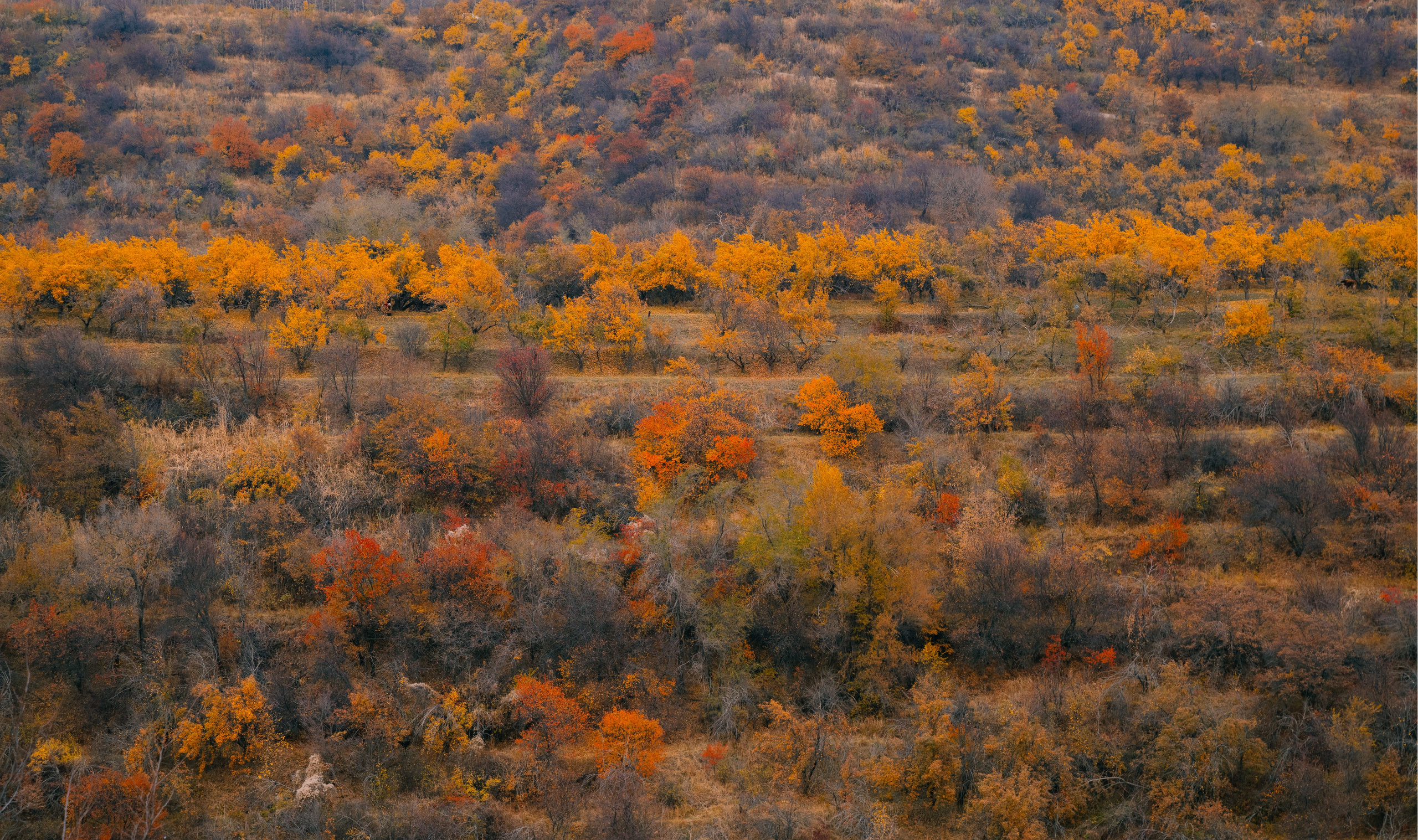 Озеро Иссык, осень 2025. Фотограф в Алматы — Алексей Коньков | Репортаж, свадьбы, портреты