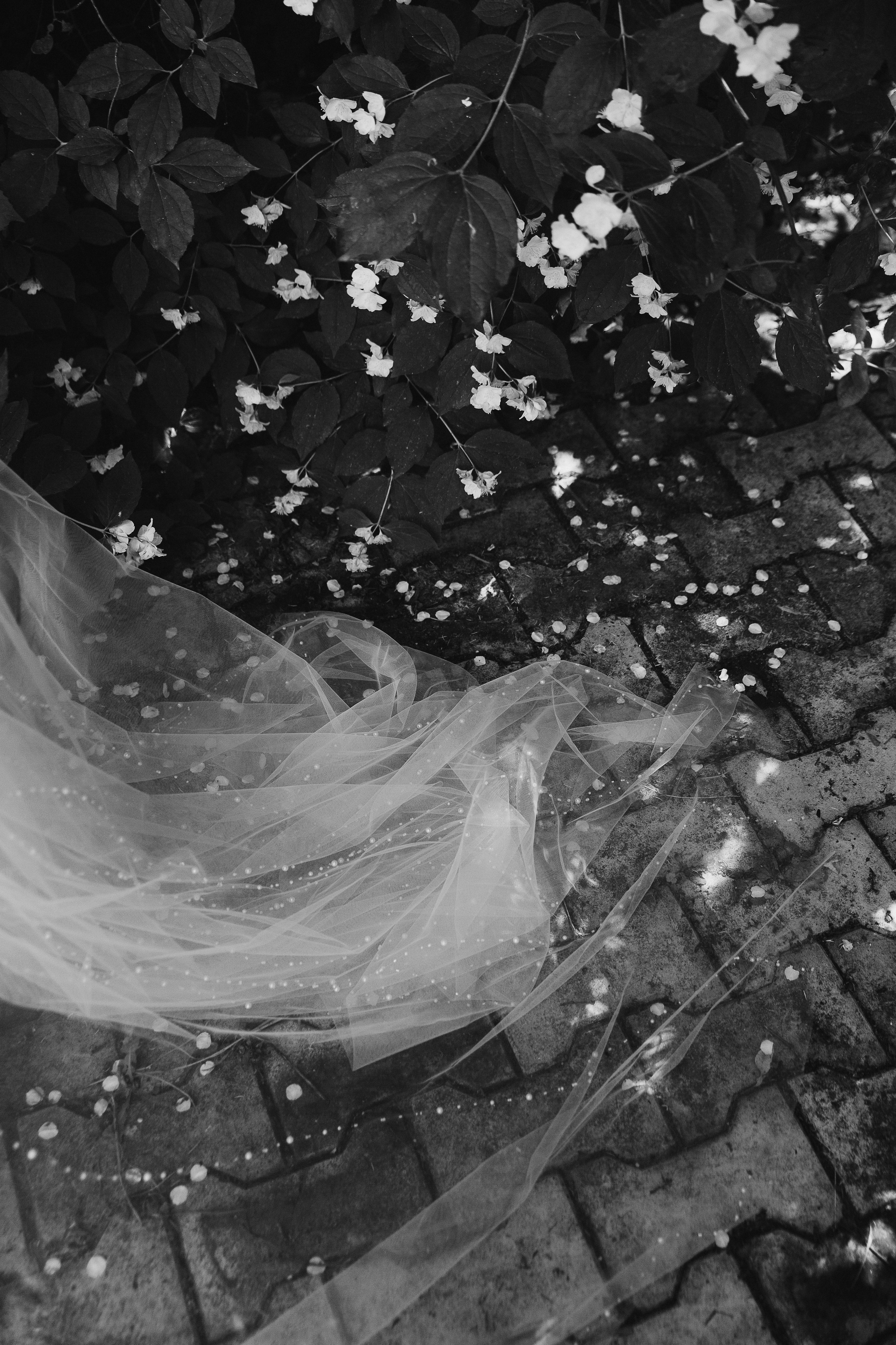 СВАДЬБА. Ваш фотограф Любовь Чистякова