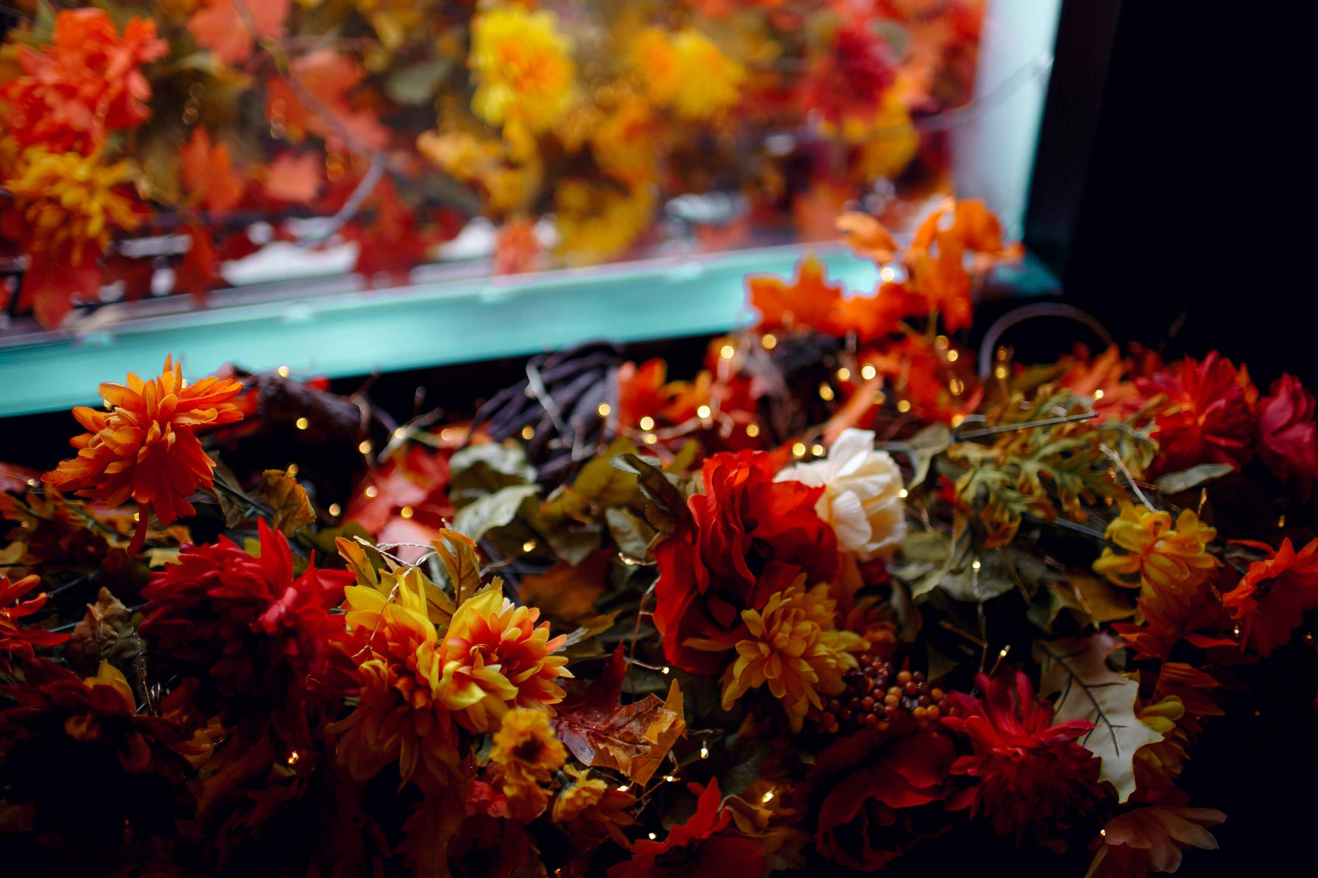 День Рождения магазина «Улитка». Ваш репортажный фотограф Артемий Антонов