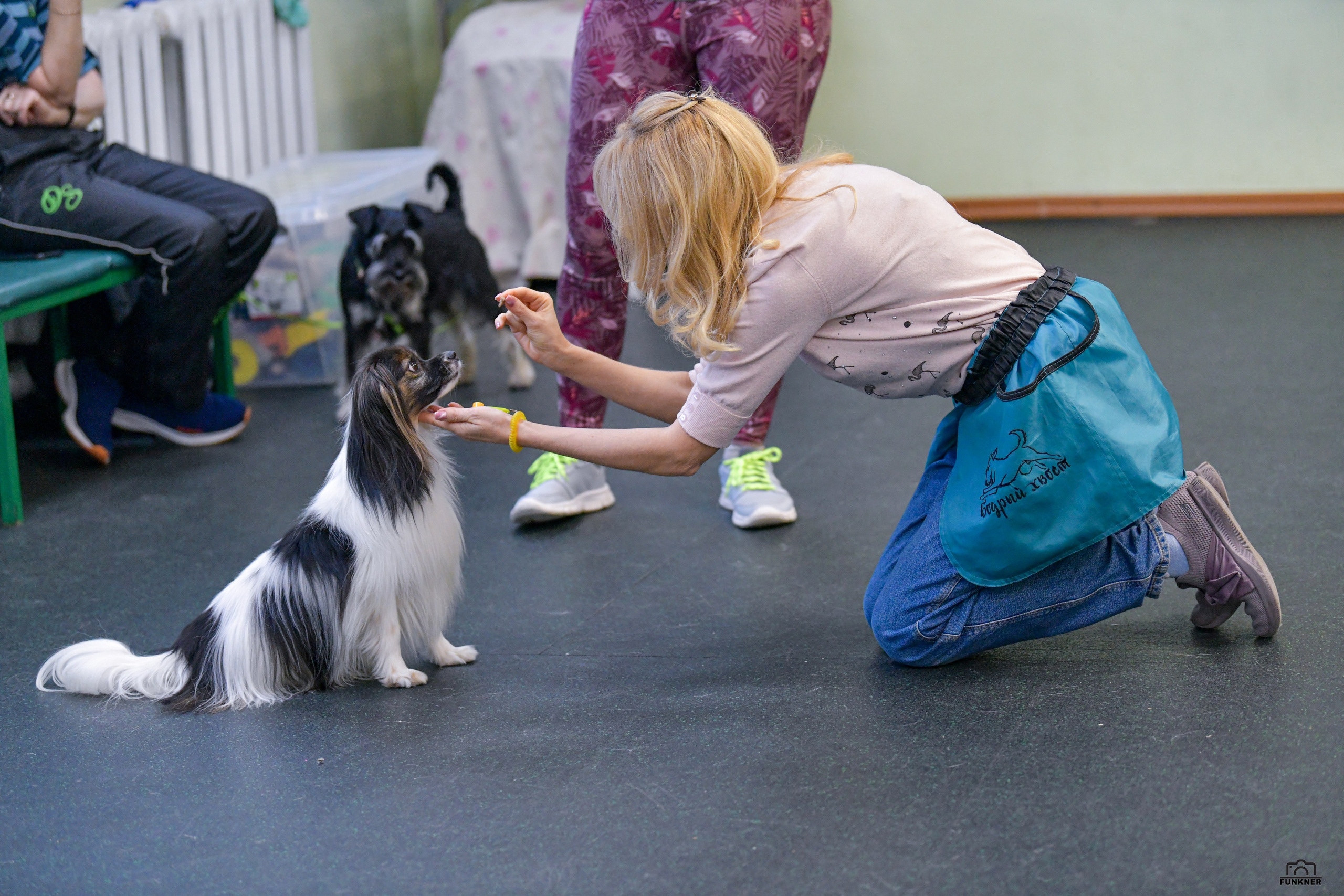 Кинологический клуб «Бодрый хвост». Свой взгляд через объектив
