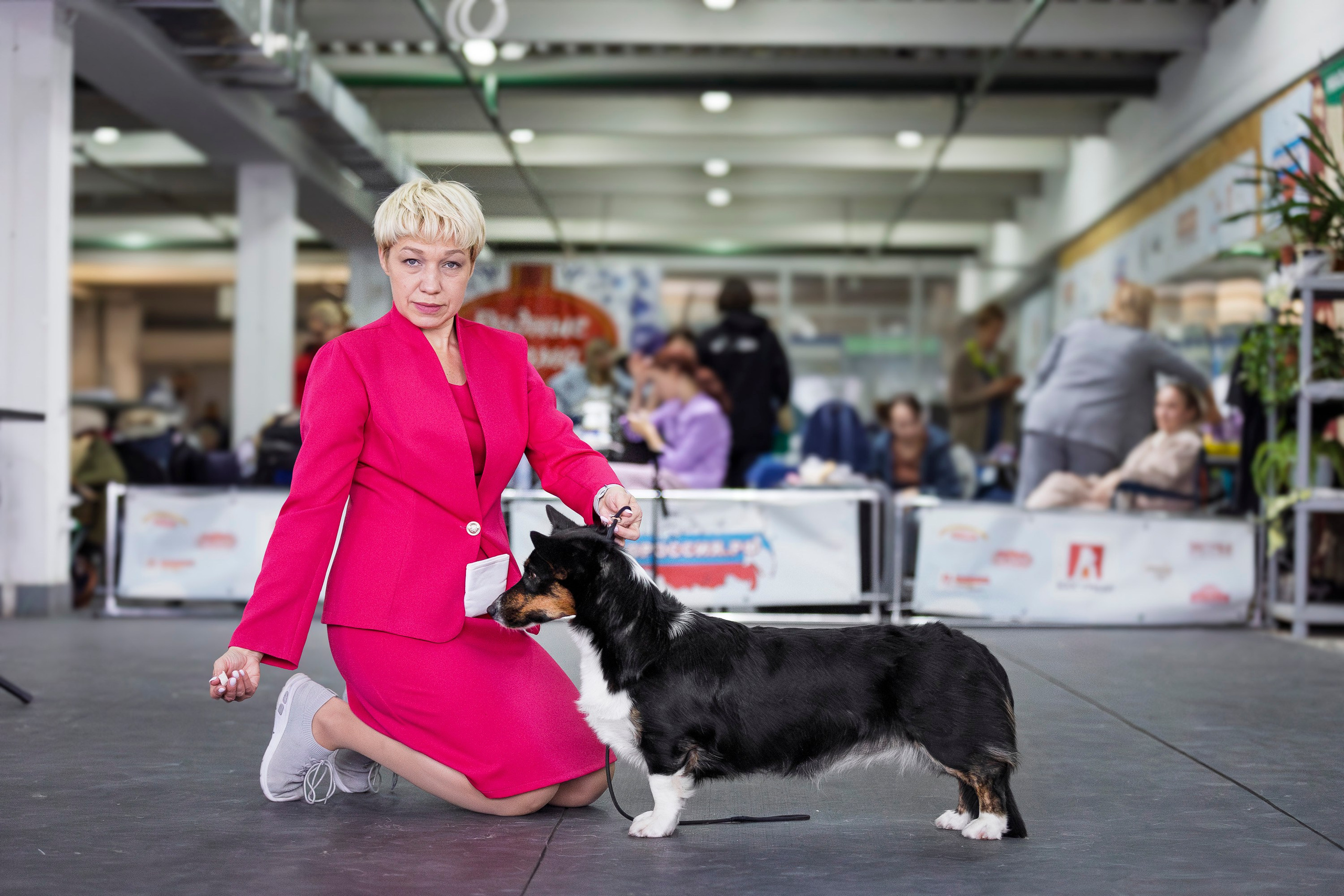 Националка ВКК 2024. Фотограф анималист, семейный фотограф, фотограф собак Комратова Мария. г. Москва