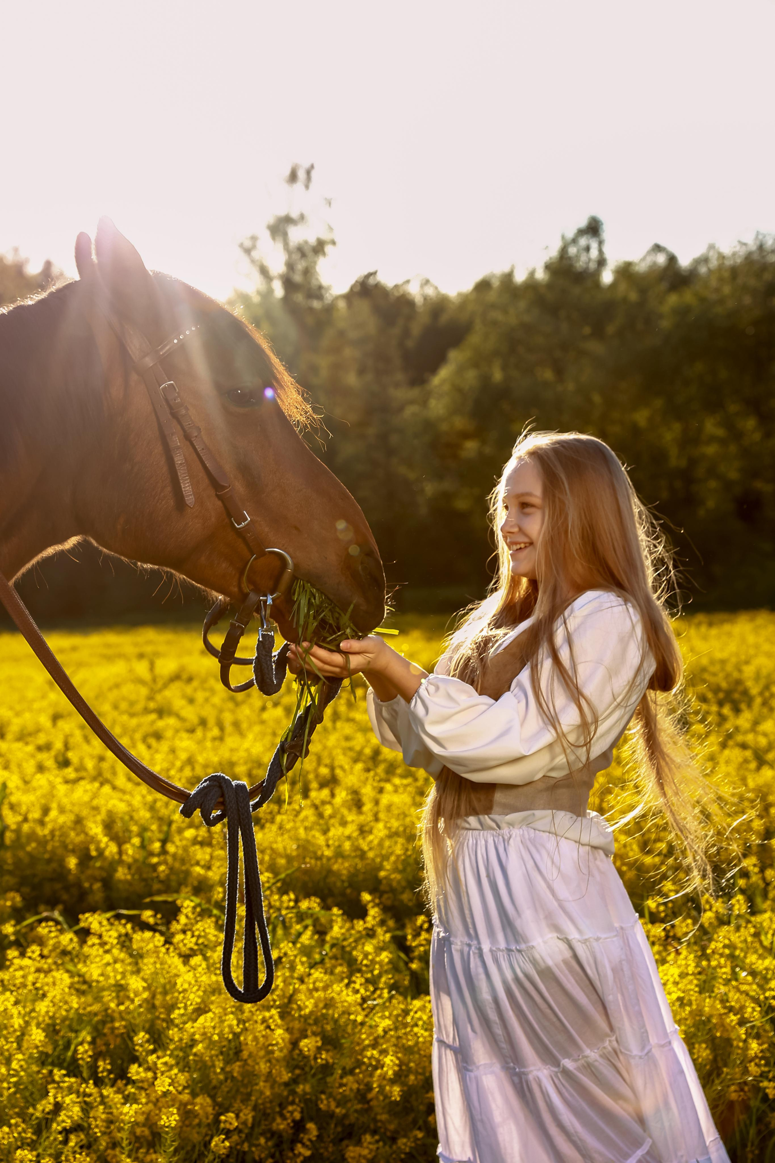 Съемка с конем на природе. Фотограф — Татьяна Кириллова, г. Санкт-Петербург