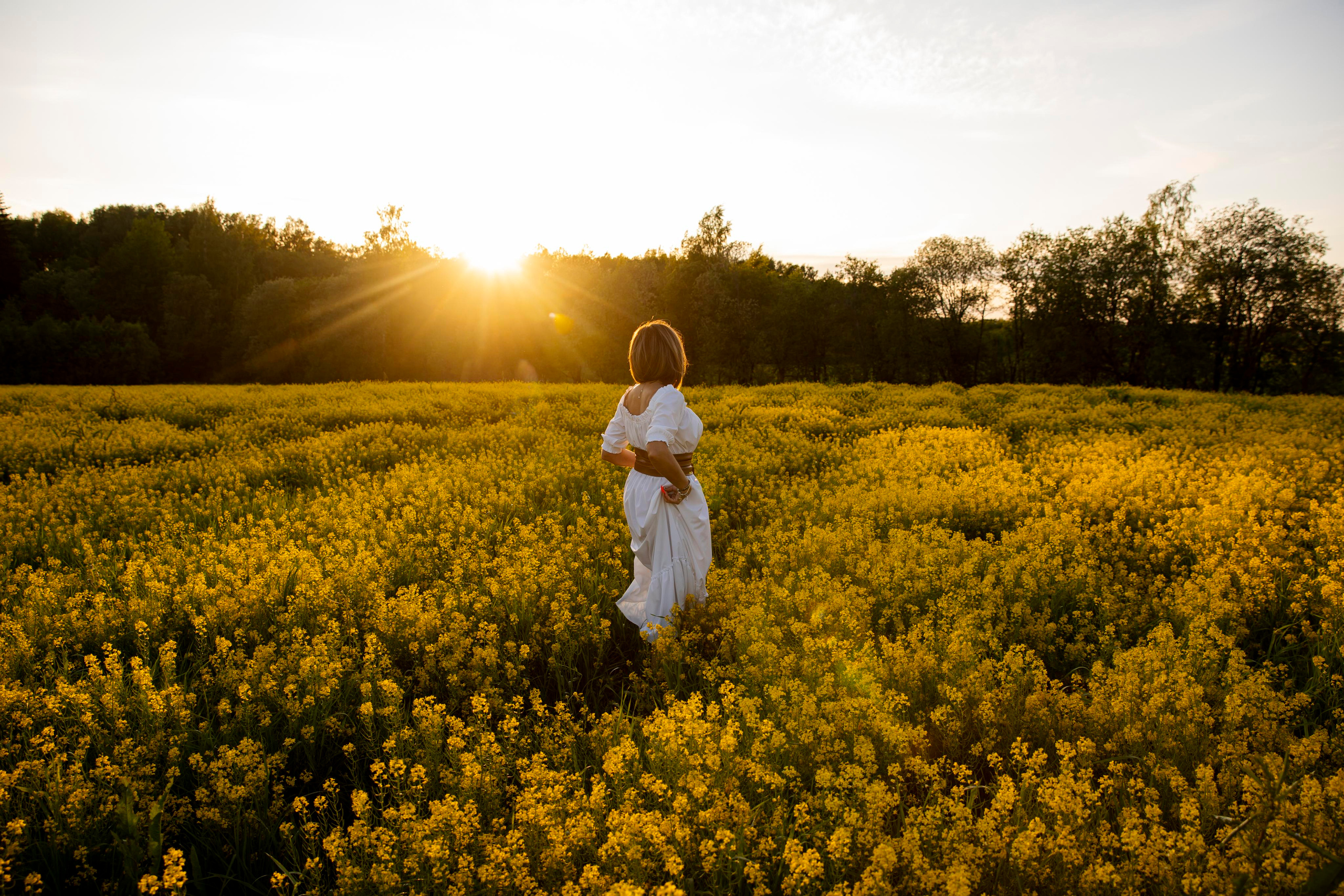 Съемка в поле на закате. Фотограф — Татьяна Кириллова, г. Санкт-Петербург