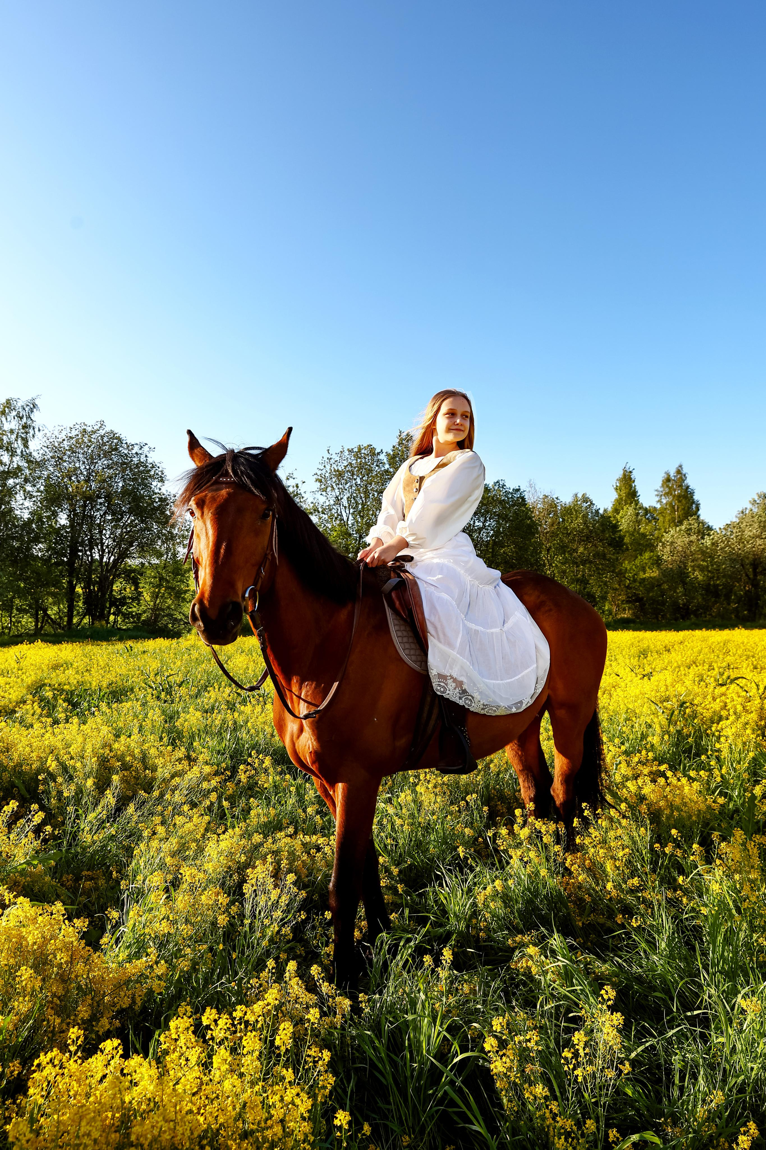 Съемка с конем на природе. Фотограф — Татьяна Кириллова, г. Санкт-Петербург