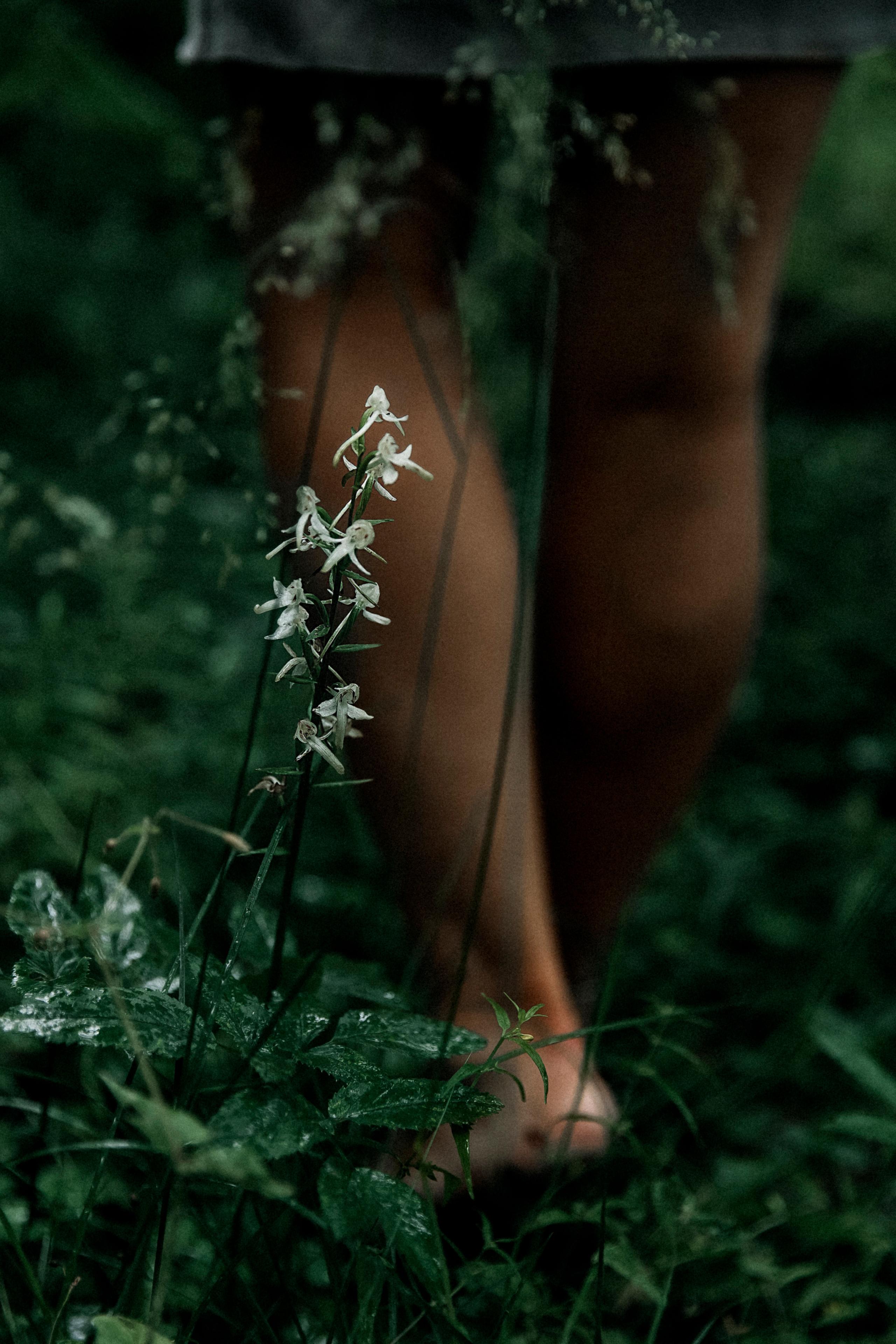 Единение с природой. Фотограф — Татьяна Кириллова, г. Санкт-Петербург