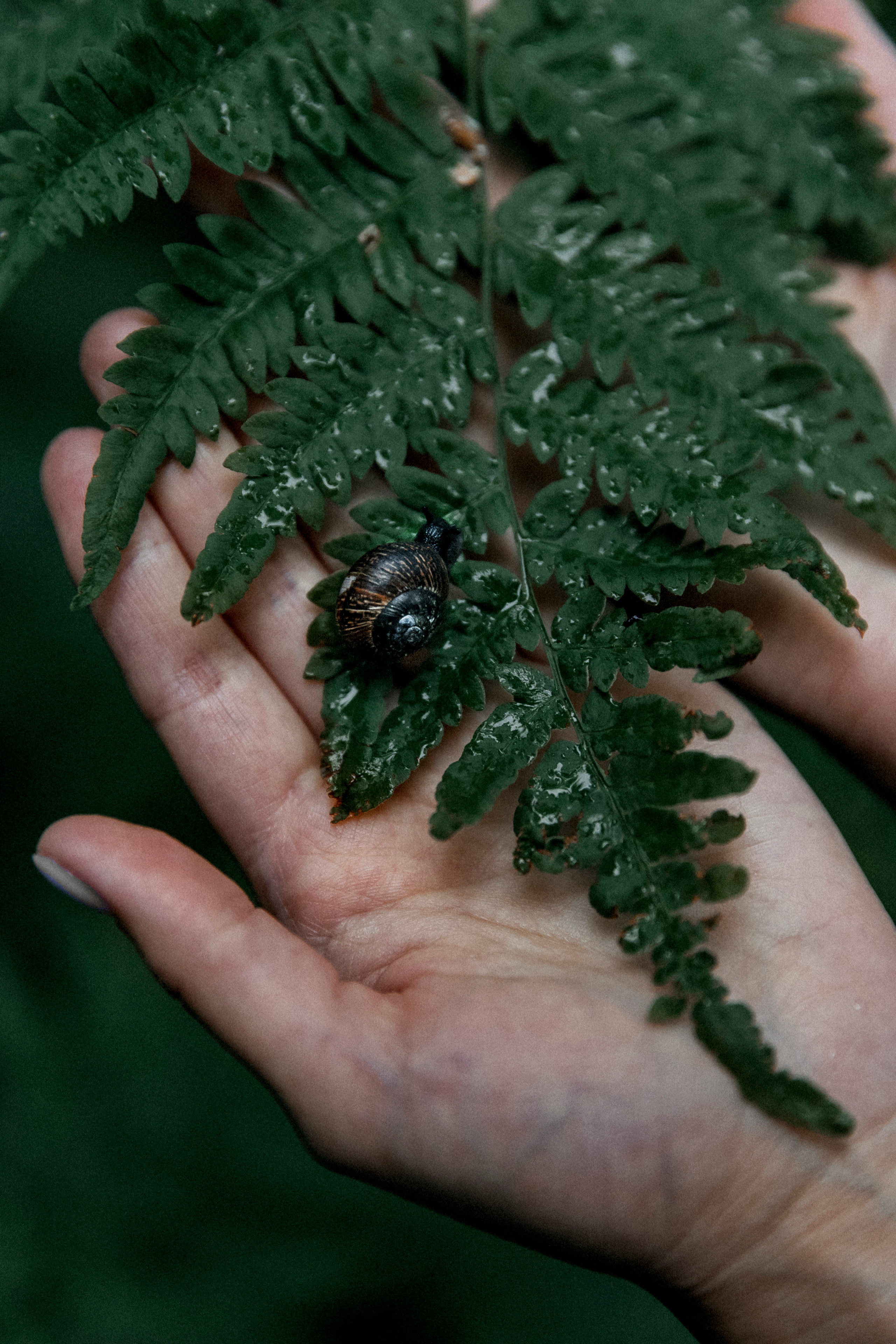 Единение с природой. Фотограф — Татьяна Кириллова, г. Санкт-Петербург