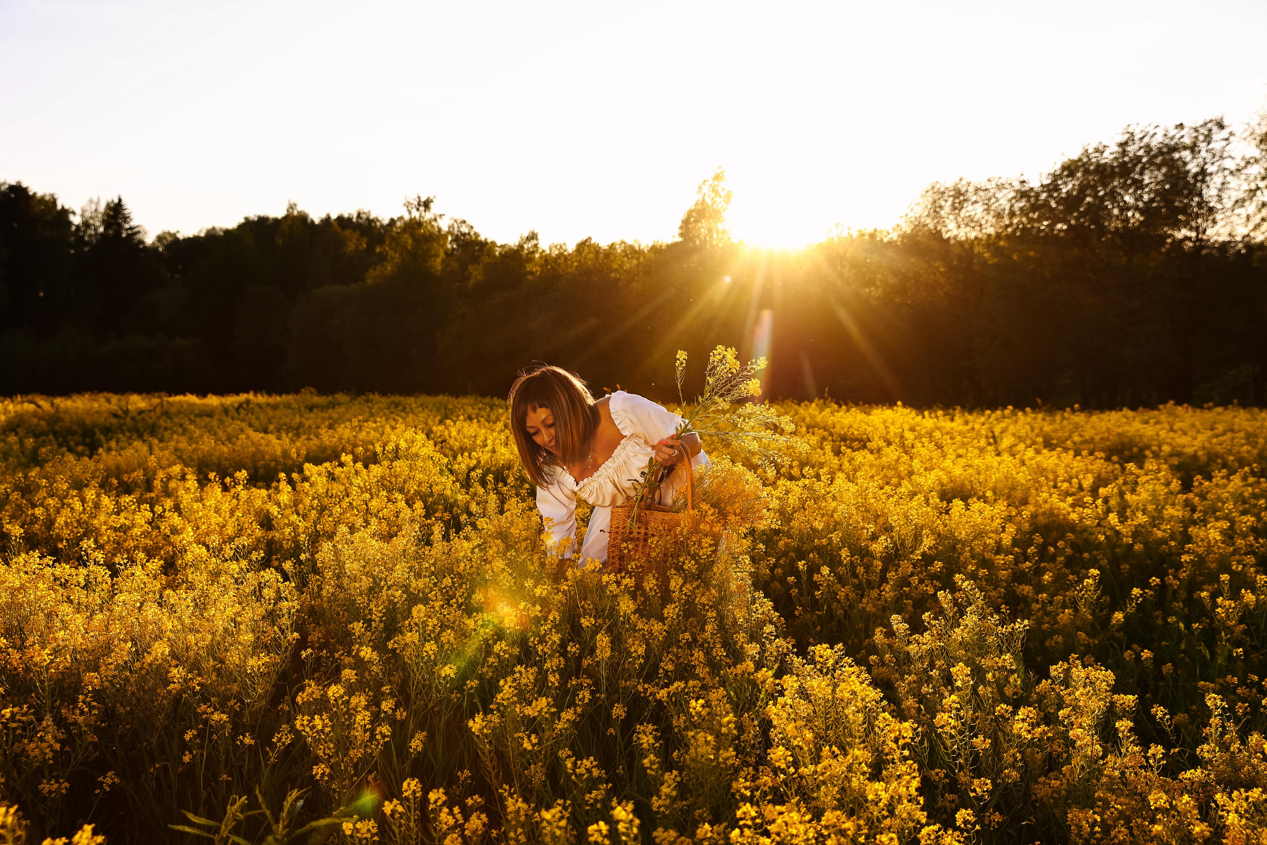 Съемка в поле на закате. Фотограф — Татьяна Кириллова, г. Санкт-Петербург