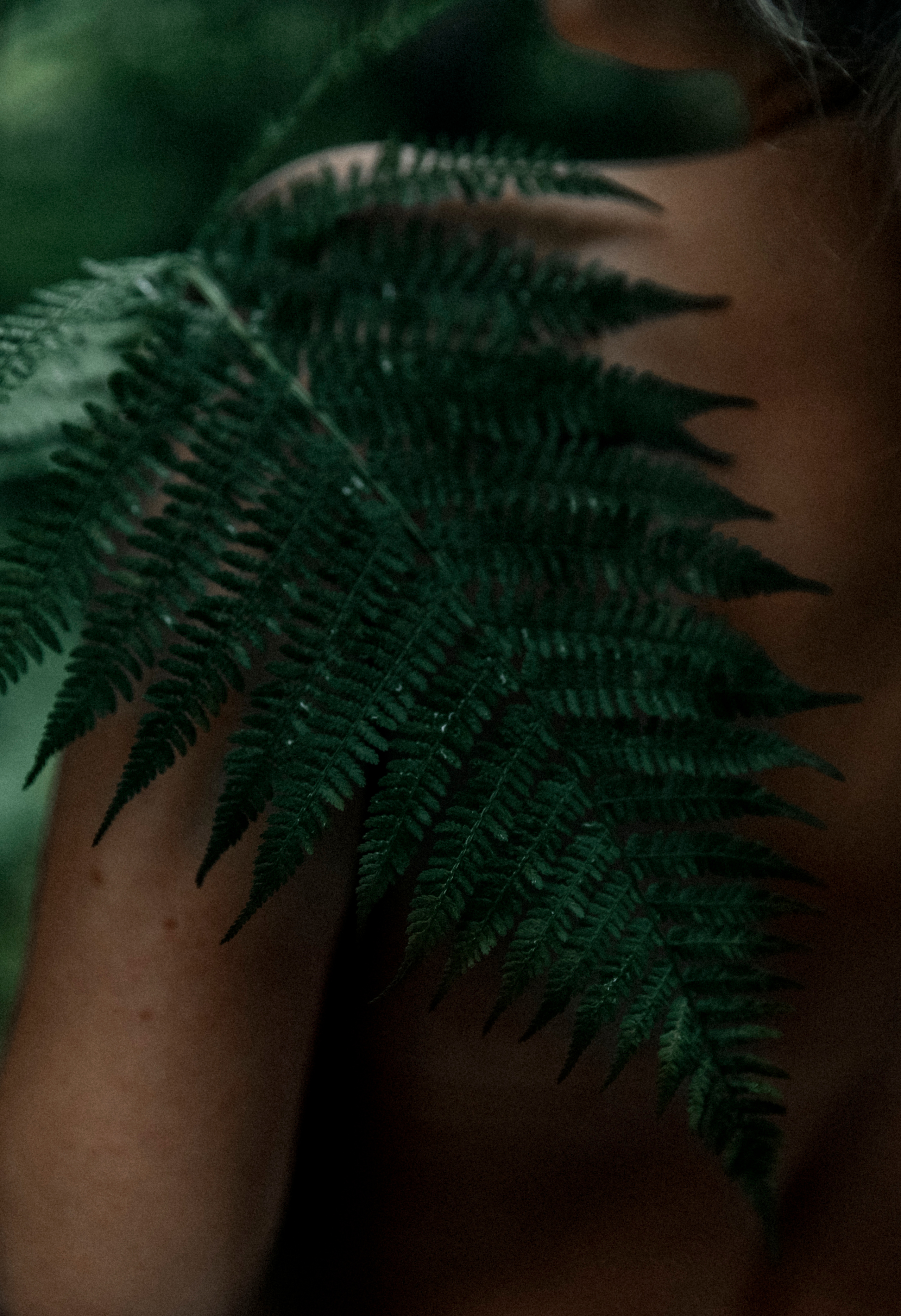 Единение с природой. Фотограф — Татьяна Кириллова, г. Санкт-Петербург