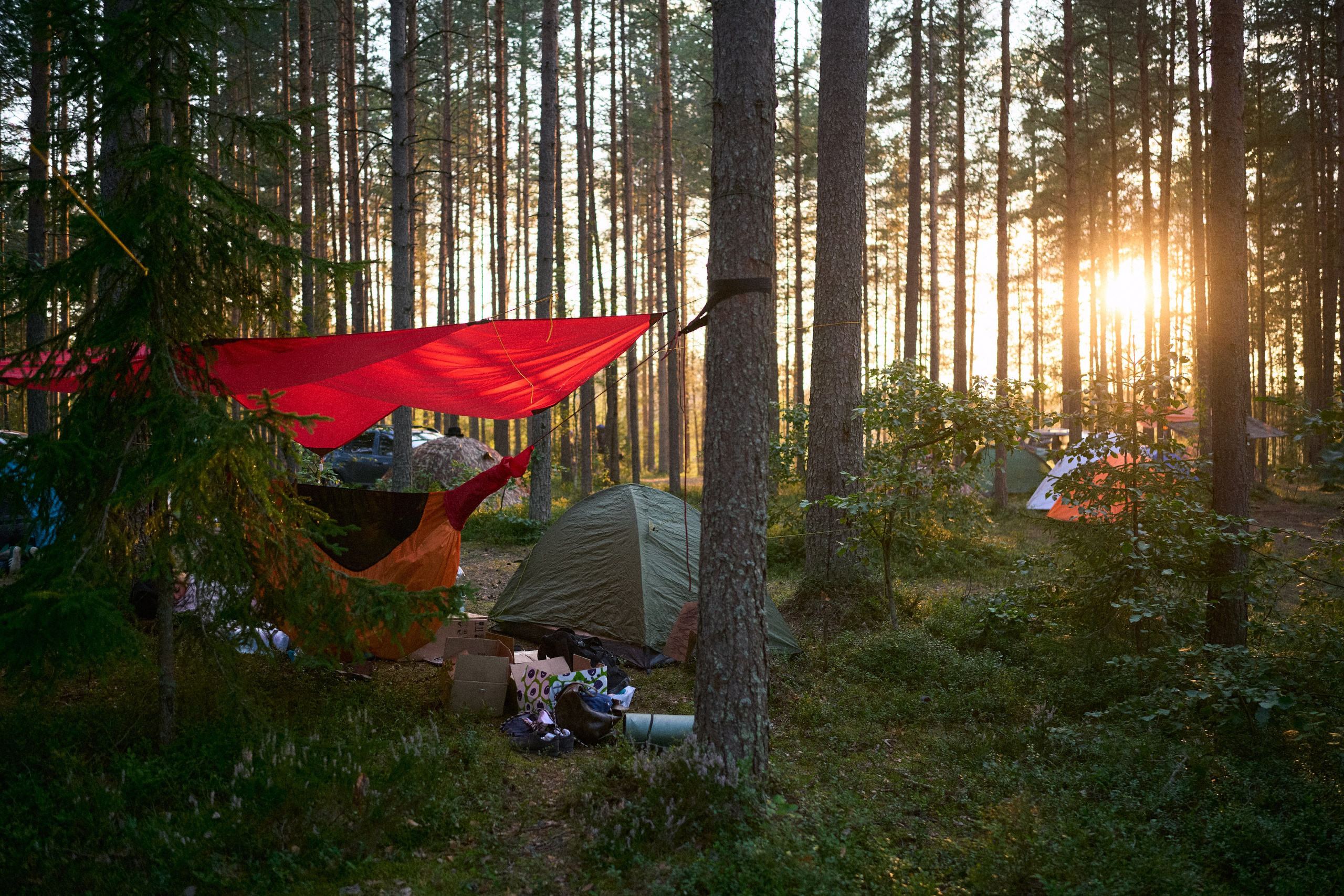 No Way Fest 2.0. Иван Кобяков