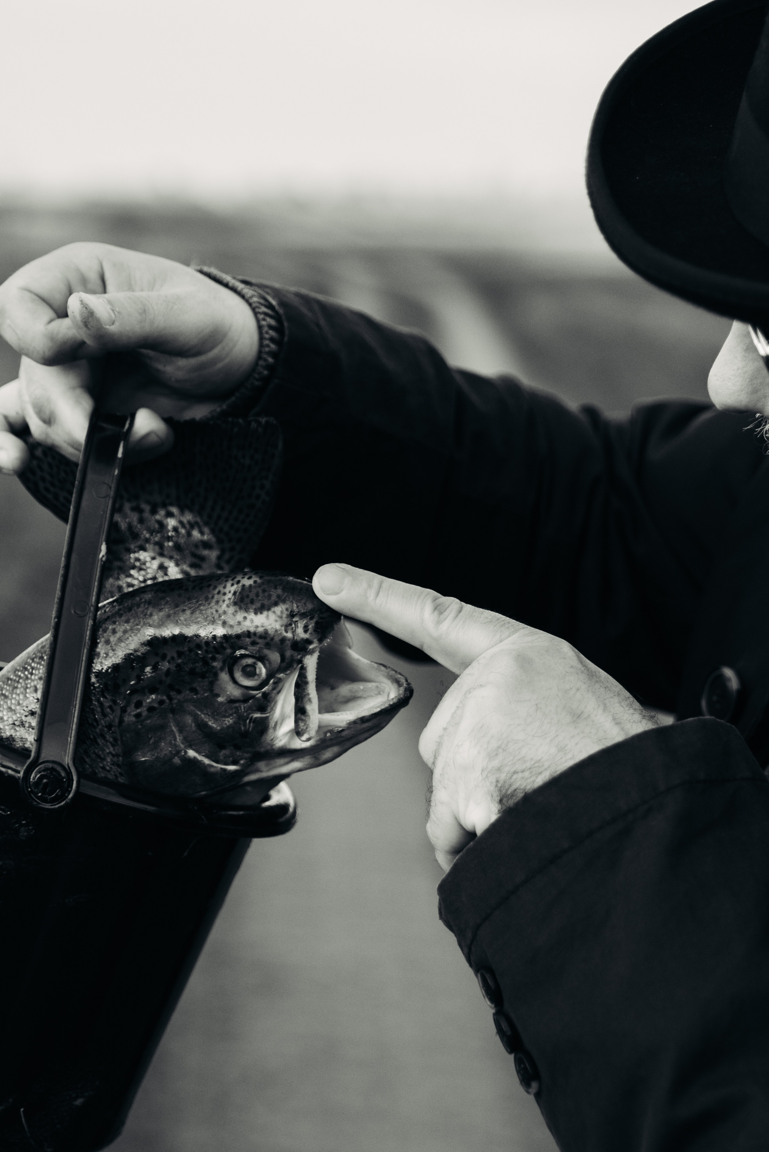 Человек и Рыба. Главная