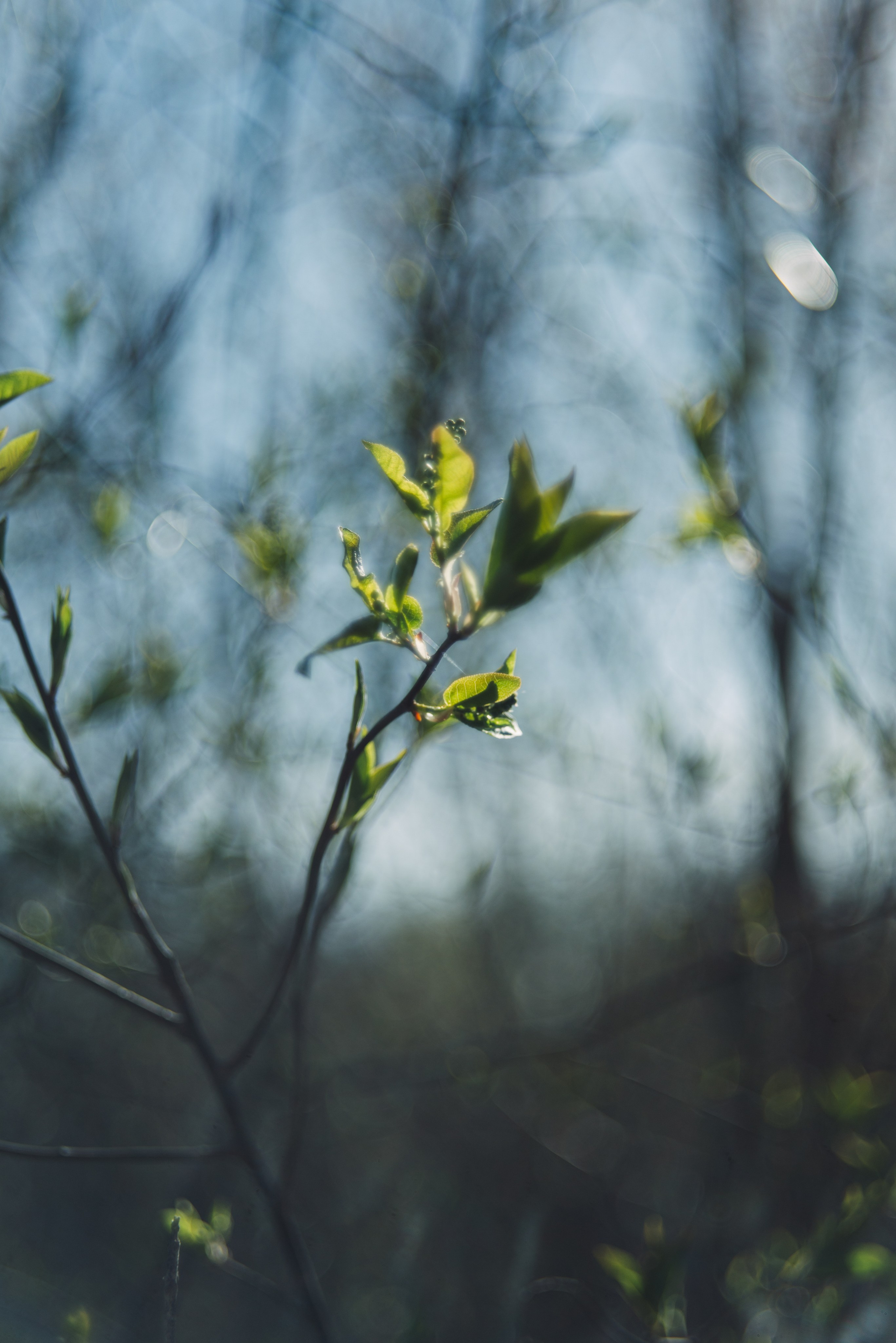 Орановка. Репортажный и портретный фотограф в Липецкой, Воронежской, Московской области Тёма Белоусов