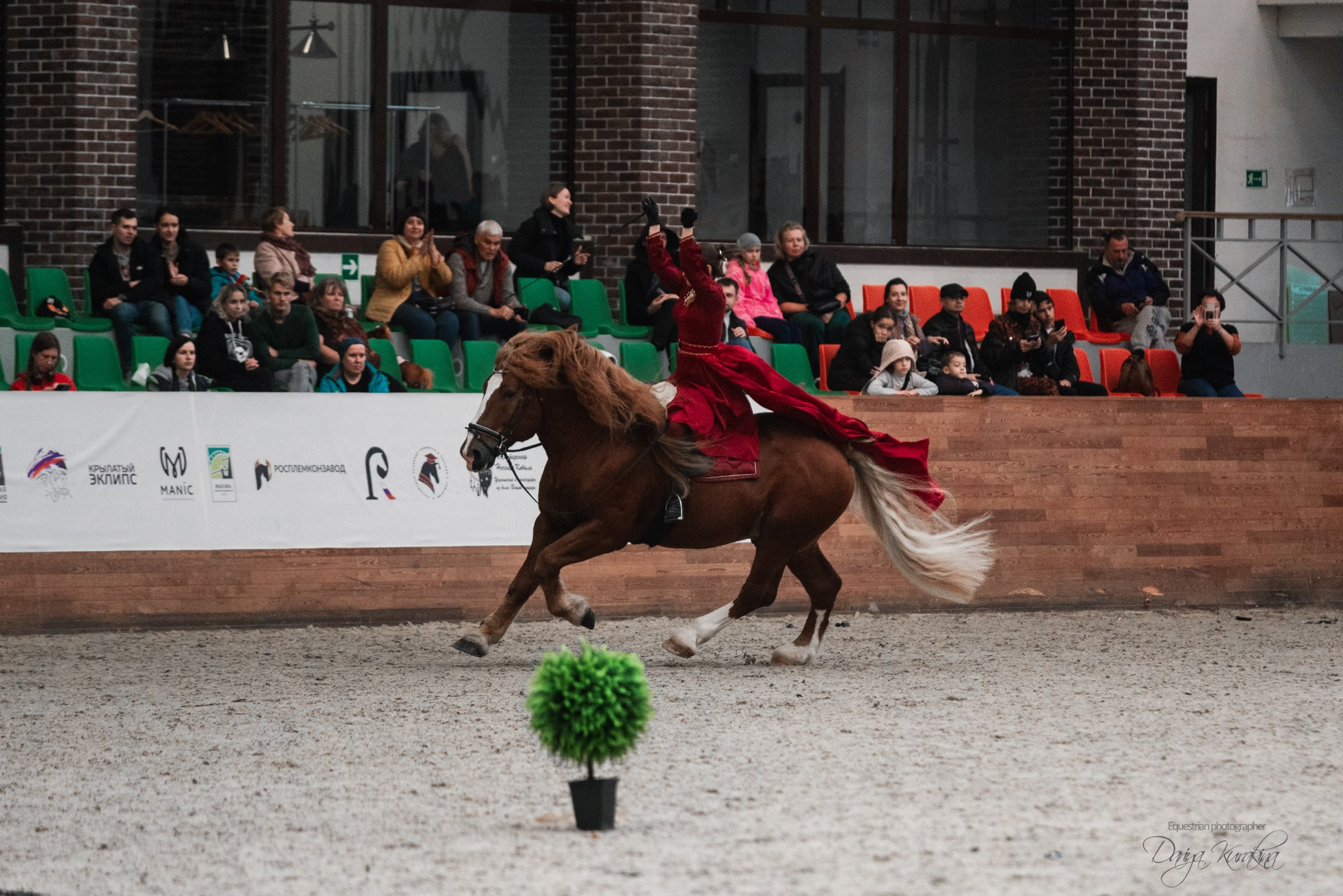 8-я международная выставка Конная Россия. Конный фотограф Куракина Дарья • Фотосессии с лошадьми