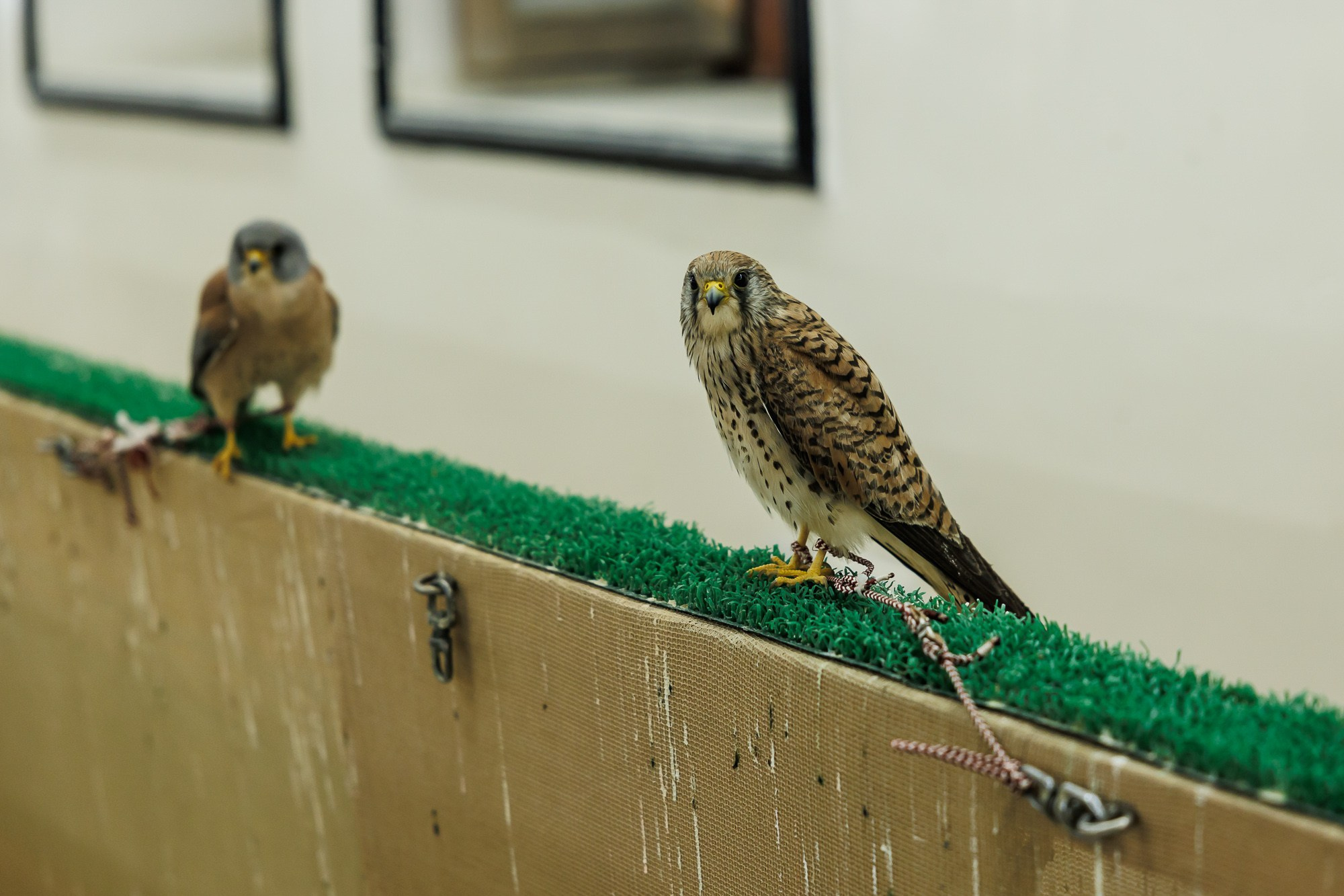 Корпоративный выезд в Qatar. Фотограф Дмитрий Елисеев