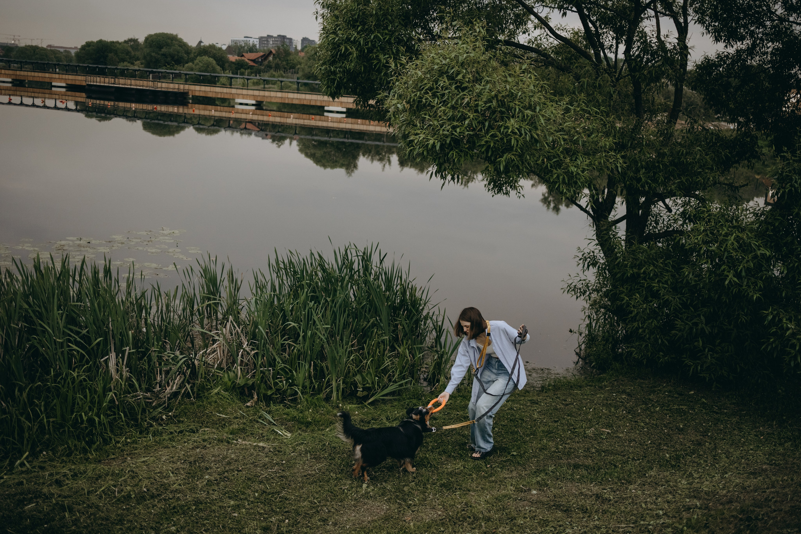 Настя, Никита и их Гром и Мяу. Фотограф — Анималист | Санкт-Петербург