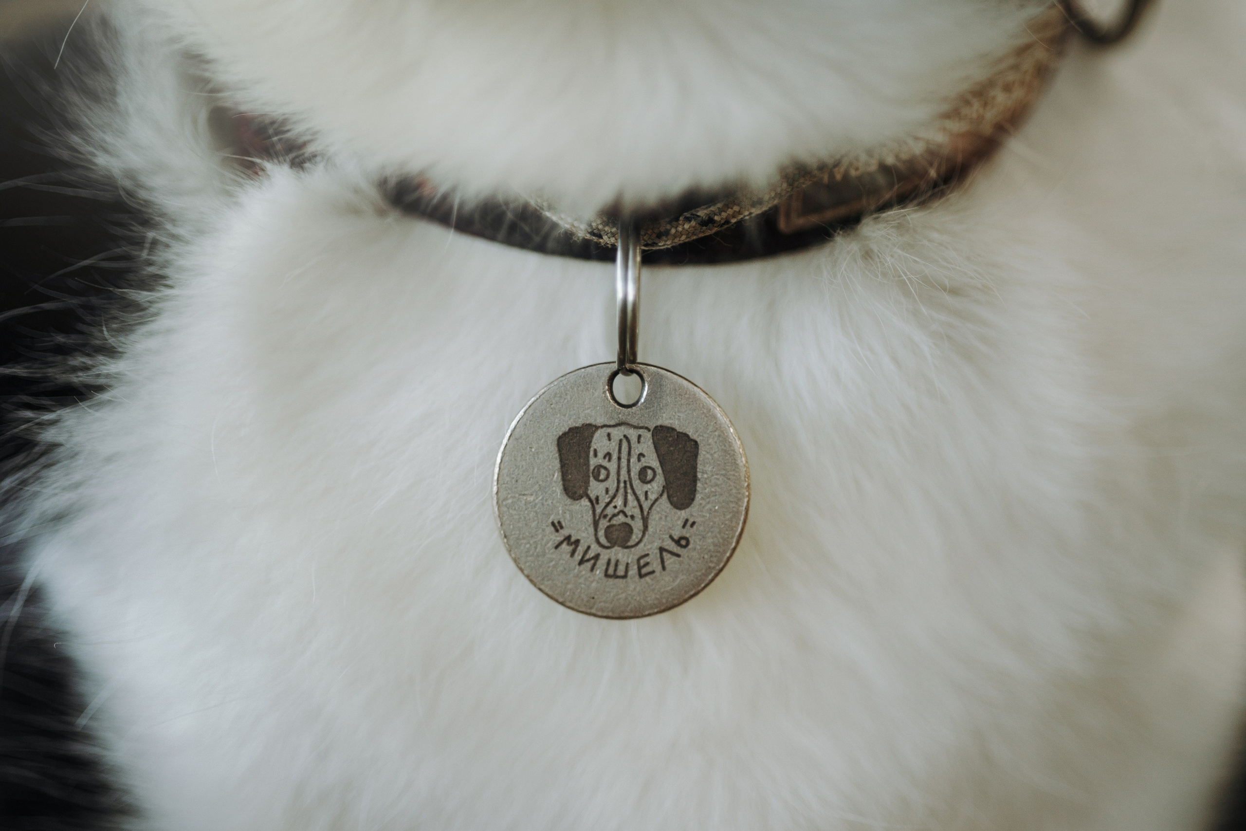 Мишель и ее семья. Фотограф — Анималист | Санкт-Петербург