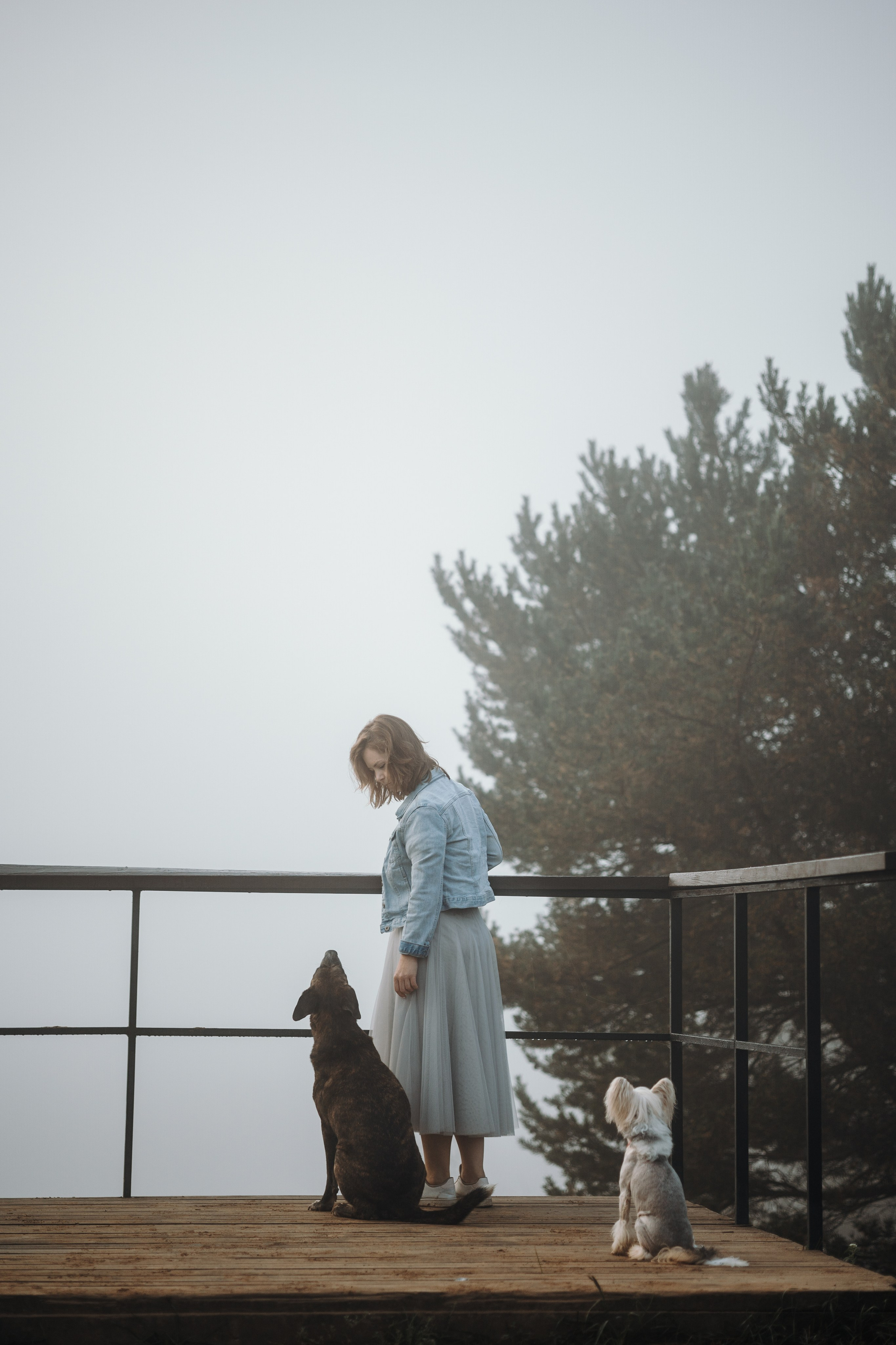 Любовь и ее хвостики. Фотограф — Анималист | Санкт-Петербург