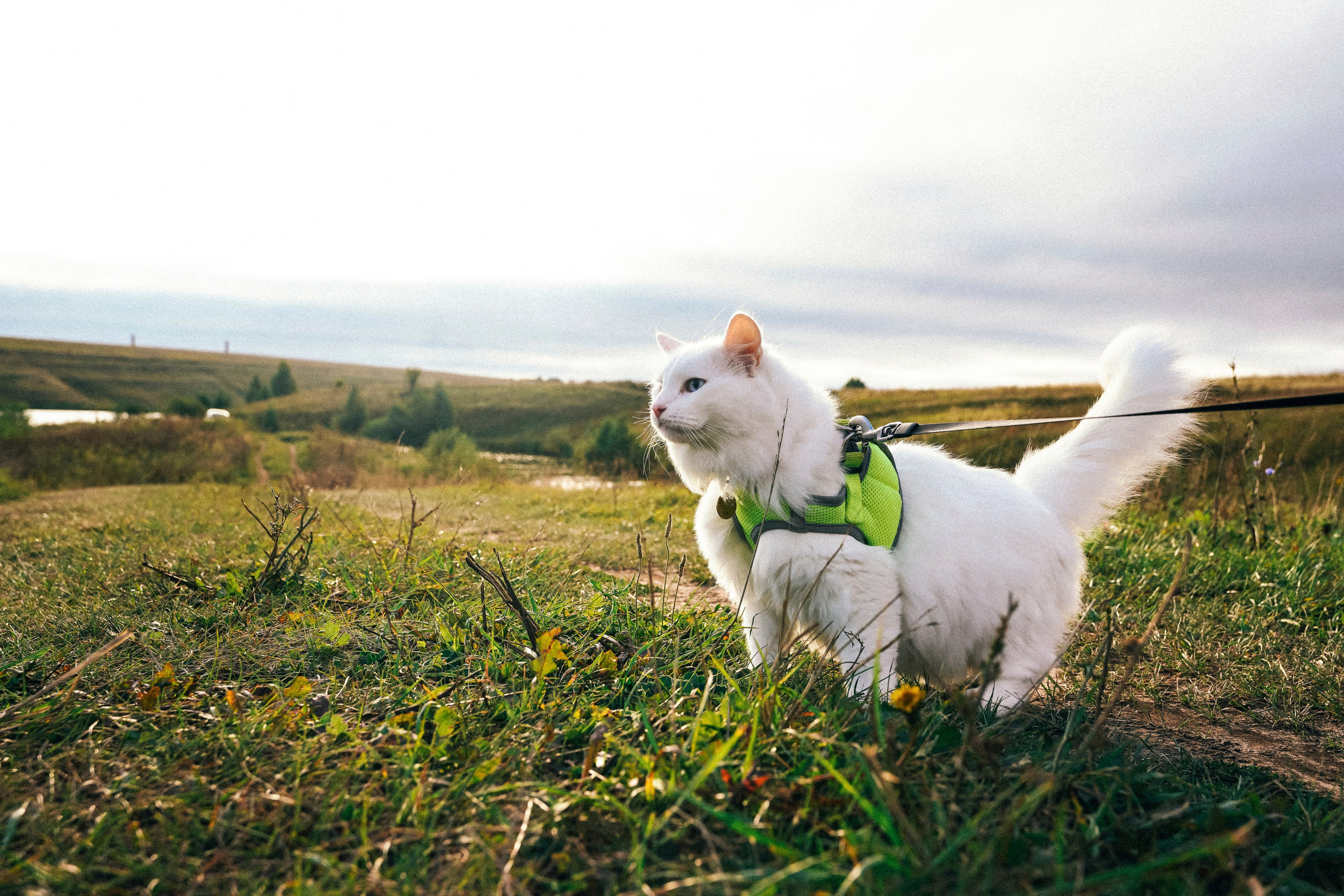 «Наша маленькая безумная семья». Фотограф Казань
