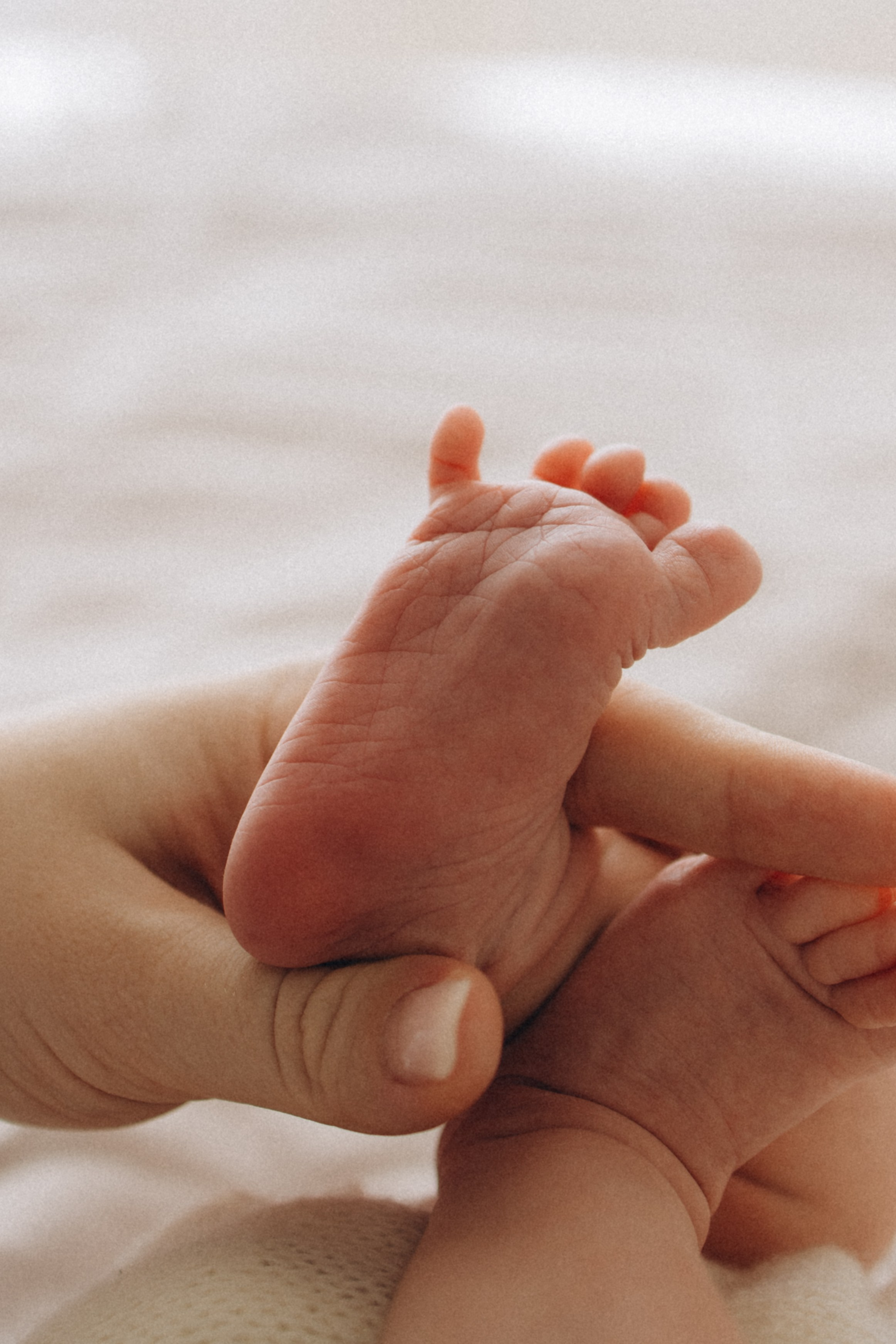 Василиса 23 дня. Фотограф новорождённых Newborn Москва