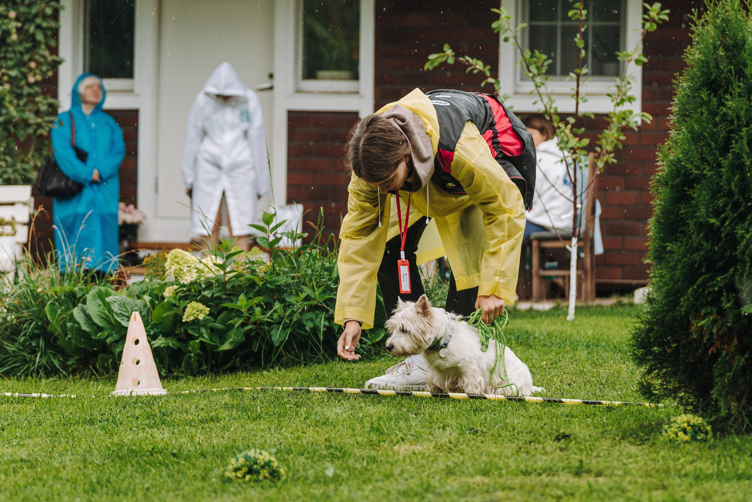 Соревнования по ноузворку в Новожилово. Фотограф анималист в Спб недорого Олеся Майорова