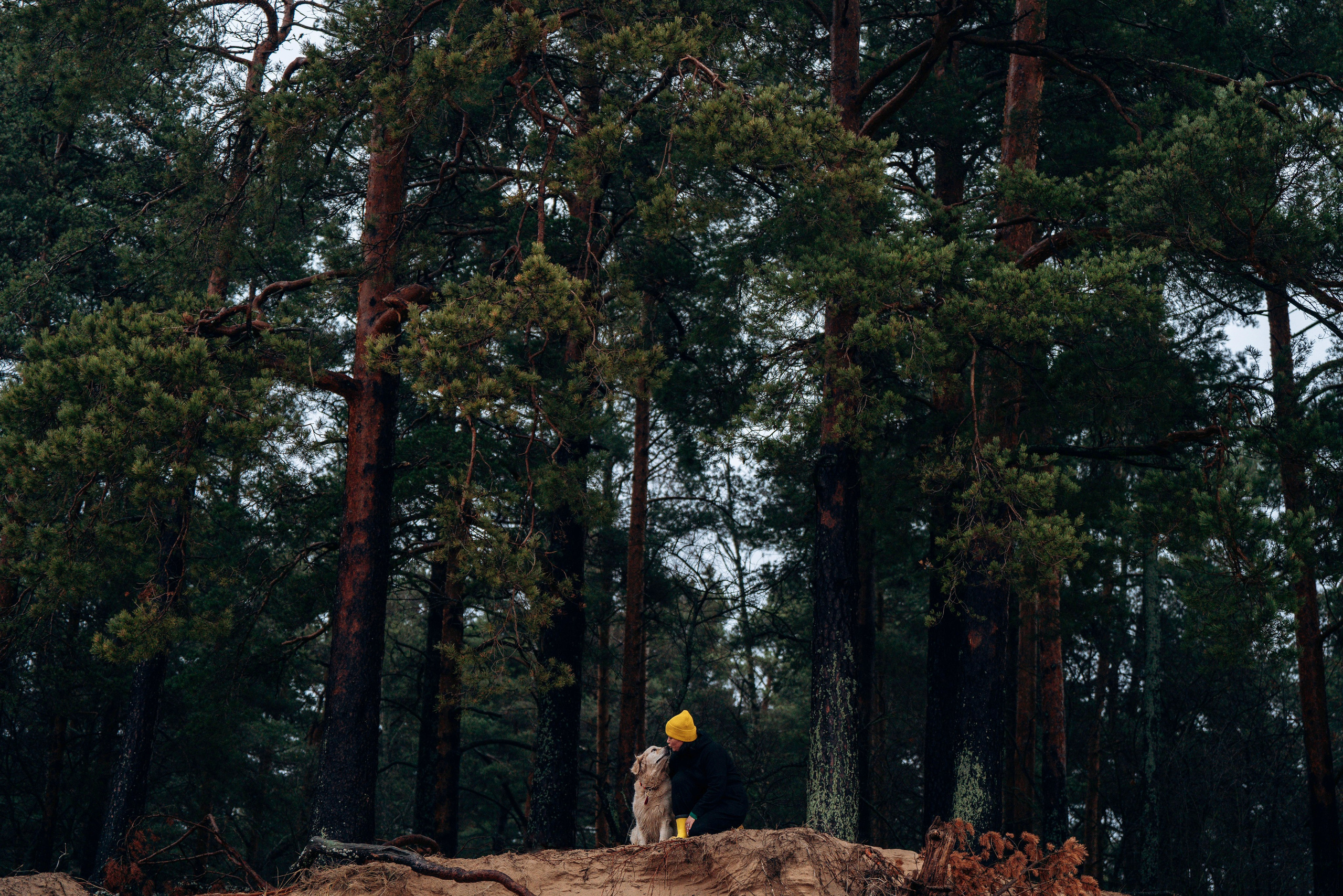 Асти, Крис и Александра. Фотограф анималист в Спб недорого Олеся Майорова