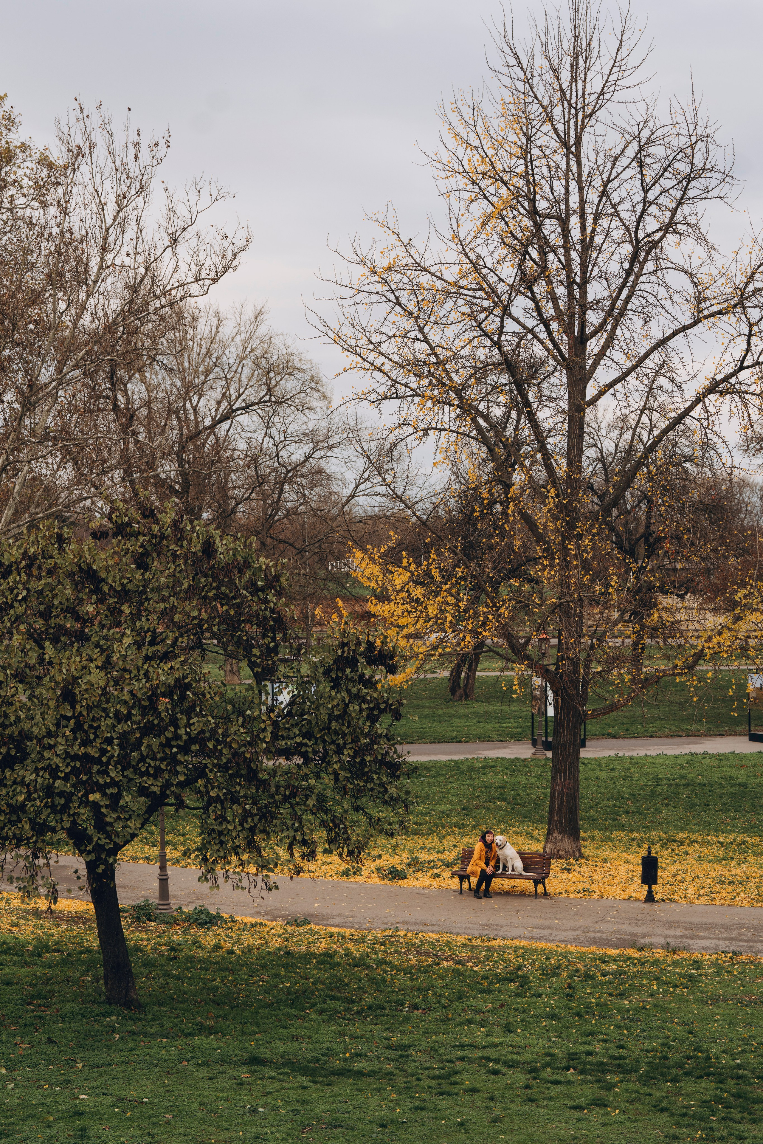 Вати, Лена и Леван. Фотограф анималист в Спб недорого Олеся Майорова