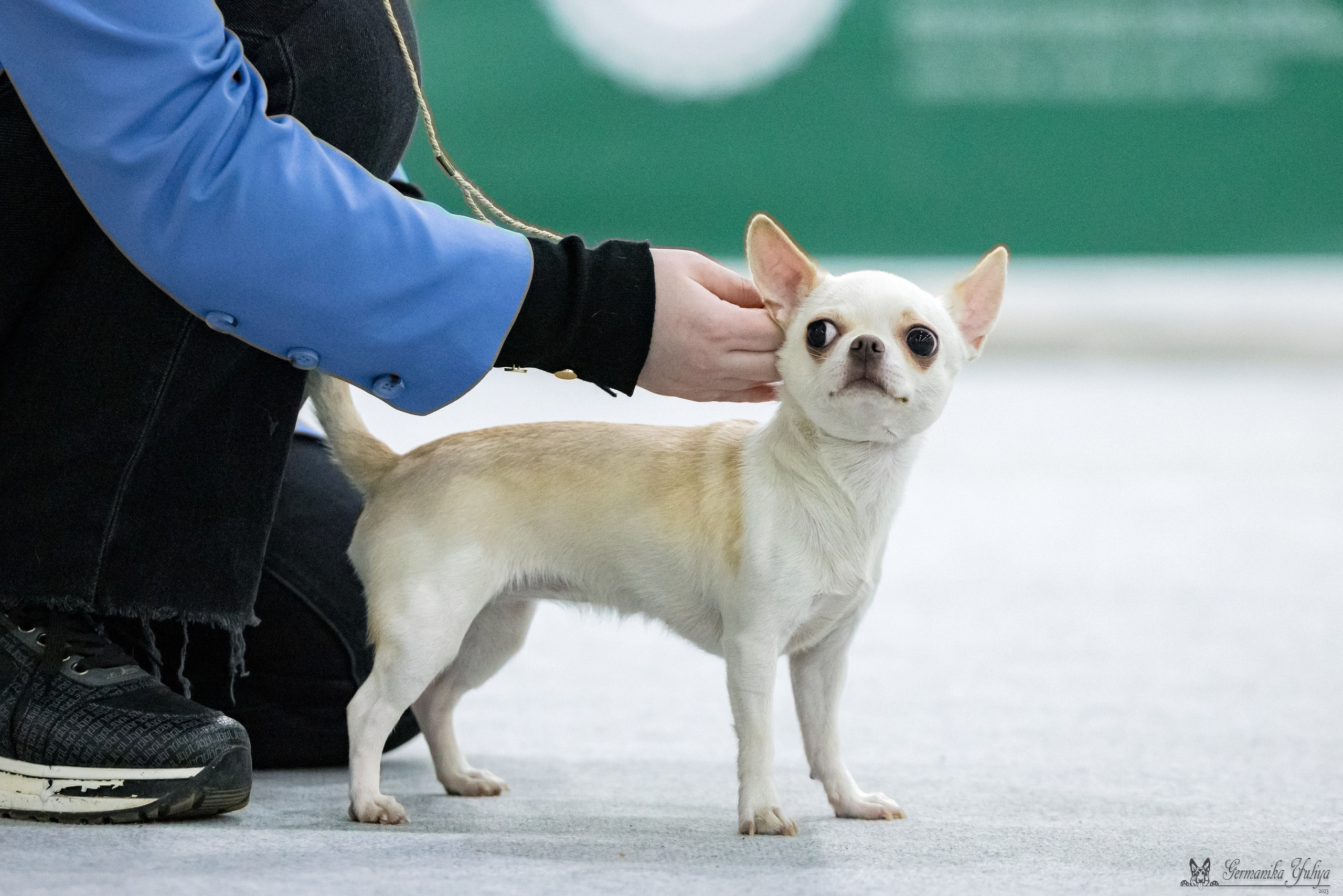 ЕВРАЗИЯ 18-19.11.2023. Фотограф-анималист Юлия Германика