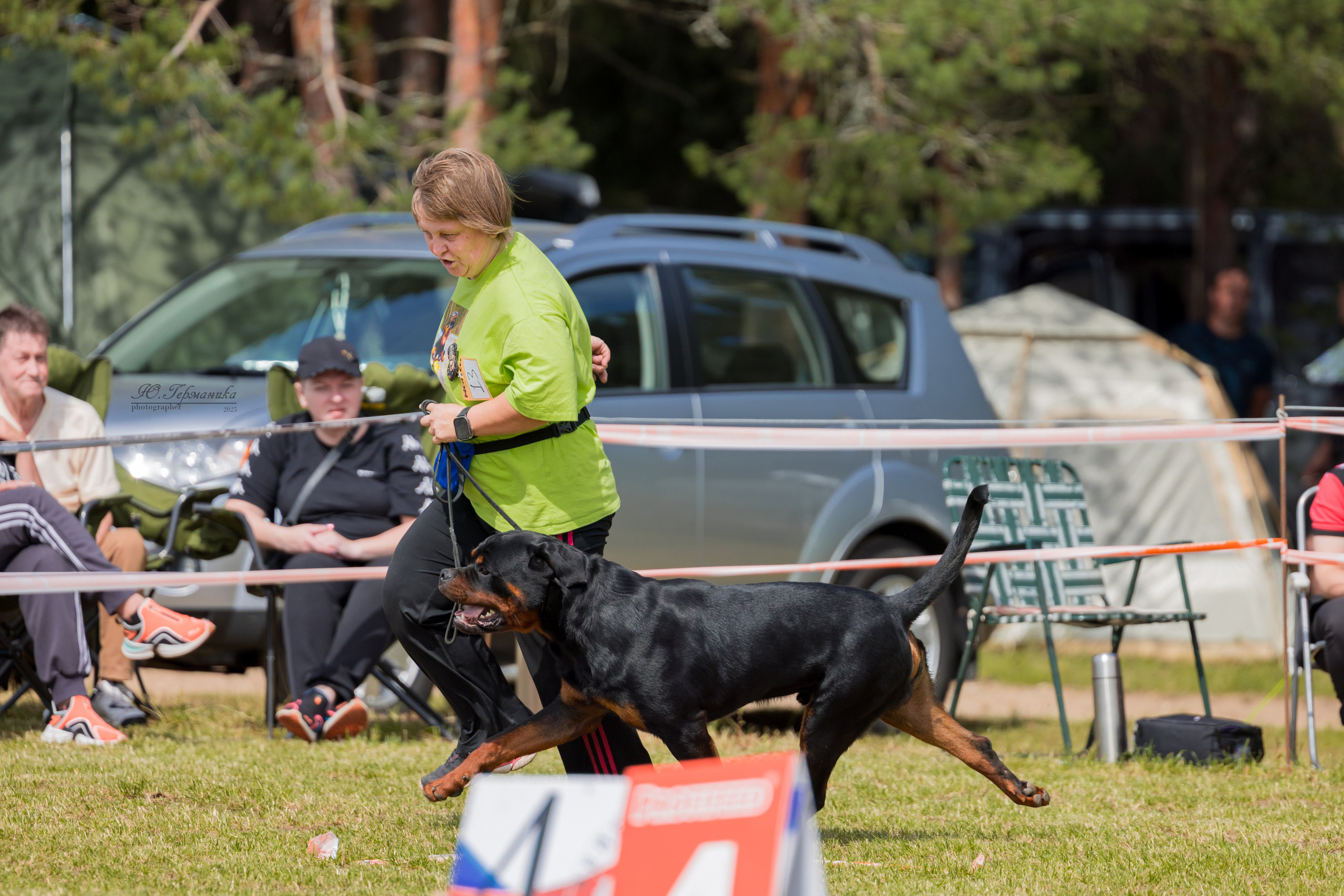 Тверь ротвейлеры 5-6.07.2025. Фотограф-анималист Юлия Германика