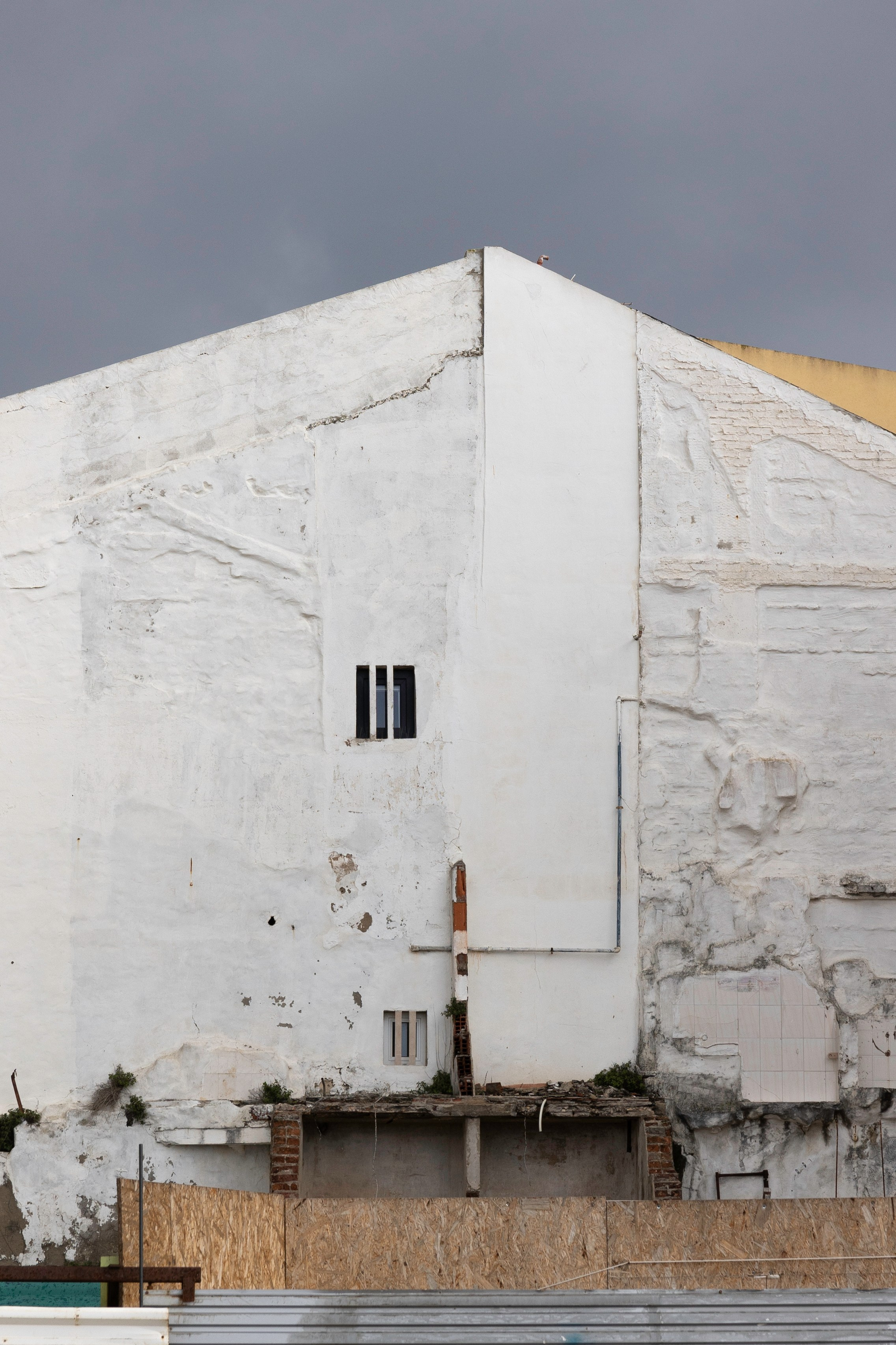 Art prints. Фотограф алина стерхова, алина стерхова фотограф, фотограф москва