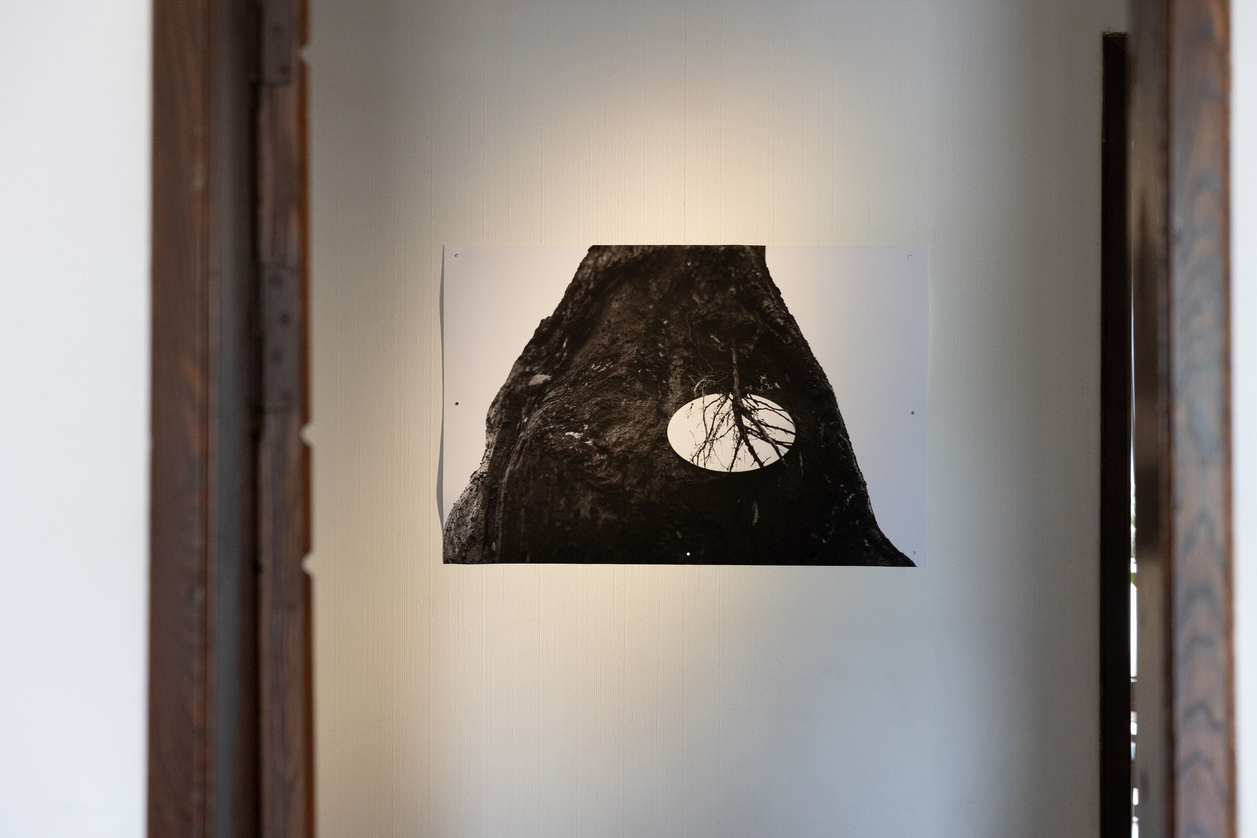 Personal exhibition Interior landscape 2025. Фотограф алина стерхова, алина стерхова фотограф, фотограф москва