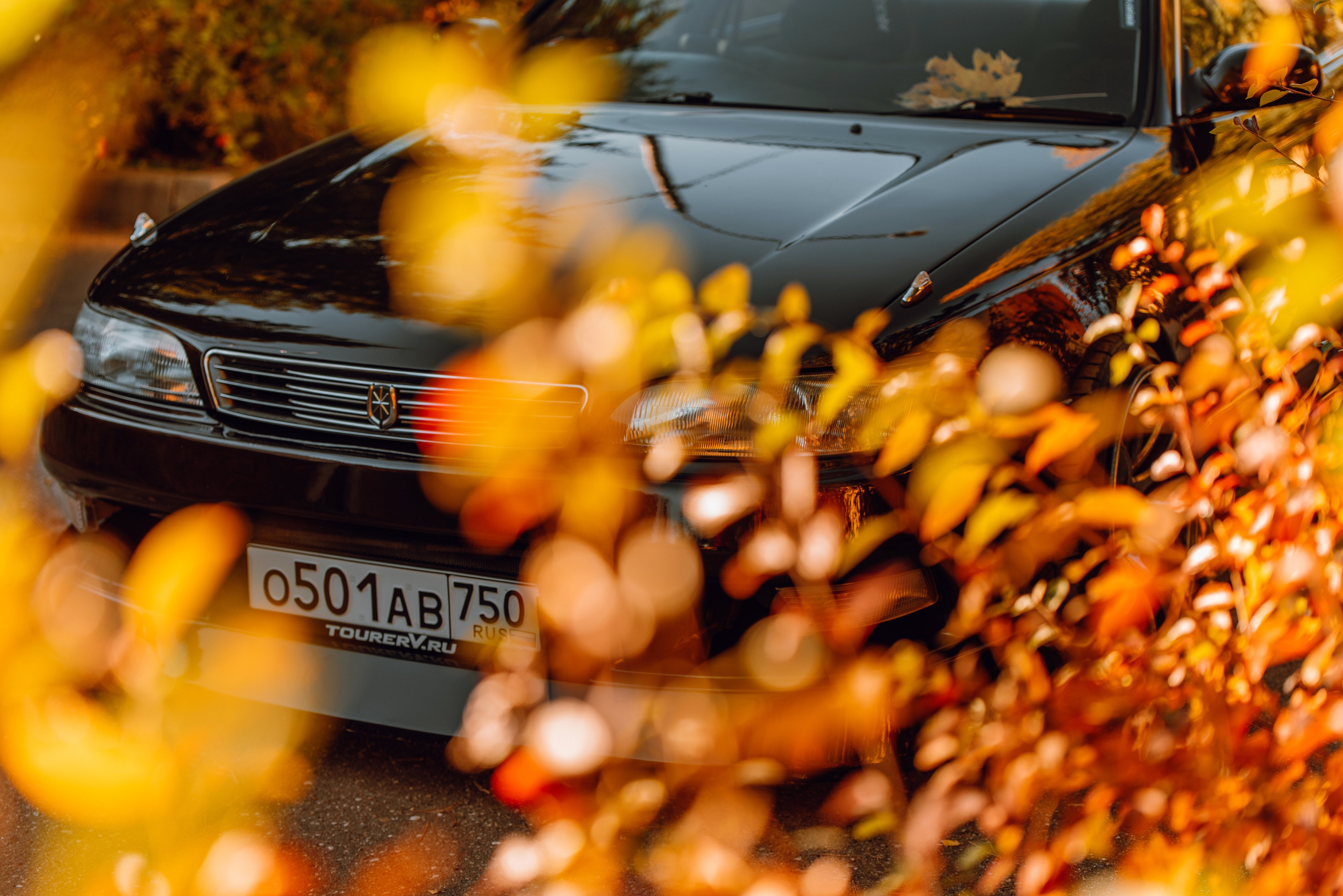 Toyota Mark ii _k_koroleva. DeLorein