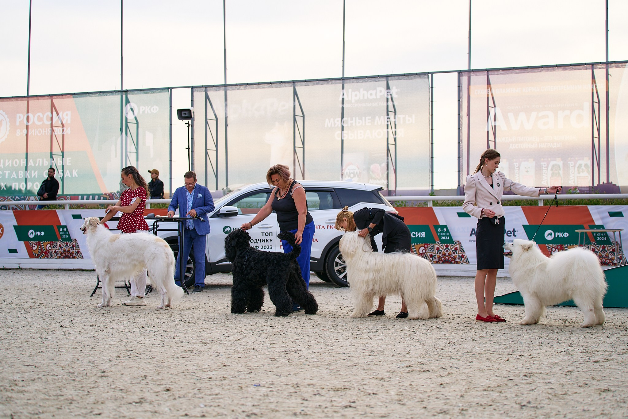 09.06.2024, «РОССИЯ. КУБОК МОСКВЫ 2024 & КУБОК ГОРОДОВ-ГЕРОЕВ»