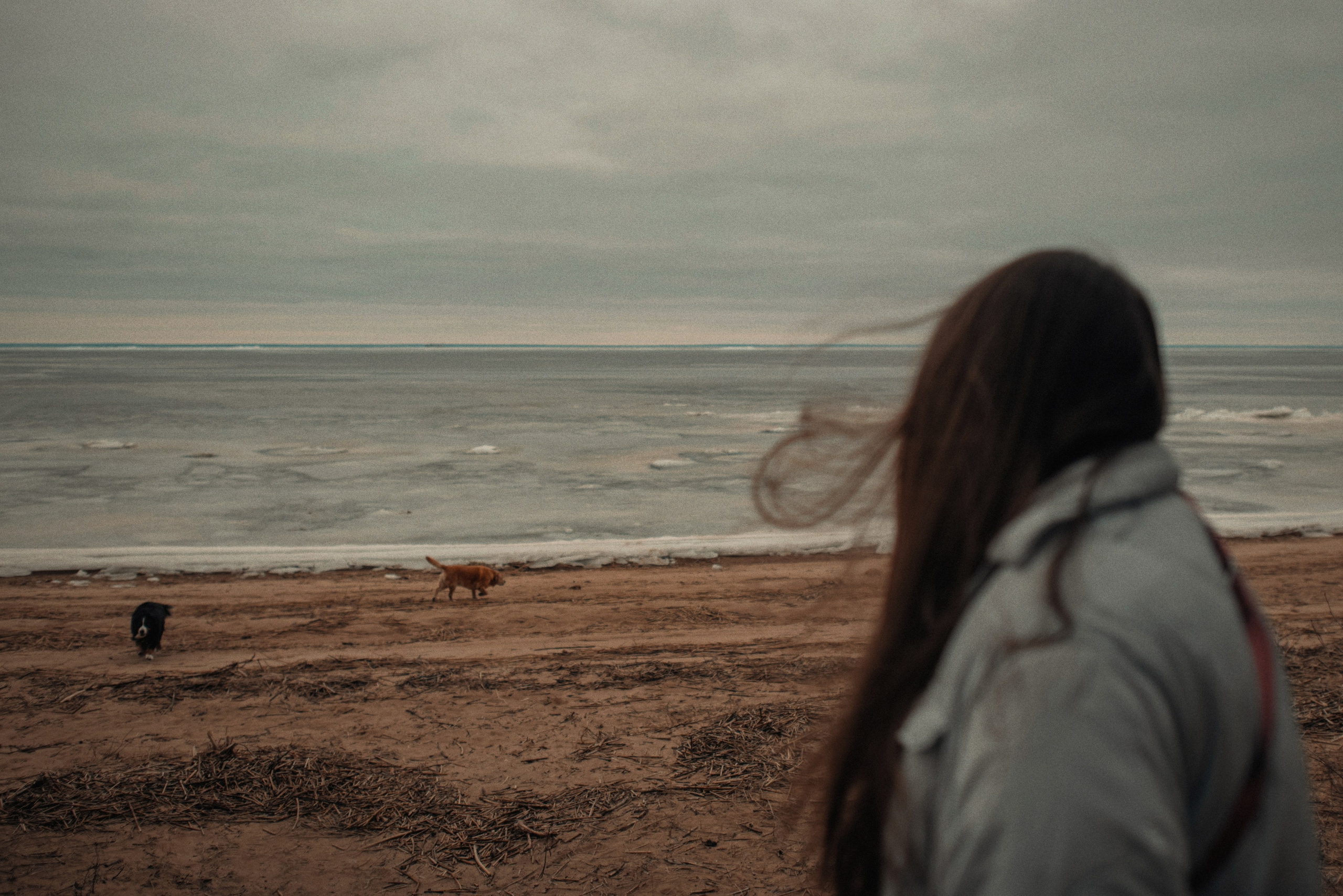 Прогулка: берн Пума, Фрэнк и Юля в Питере. Портфолио