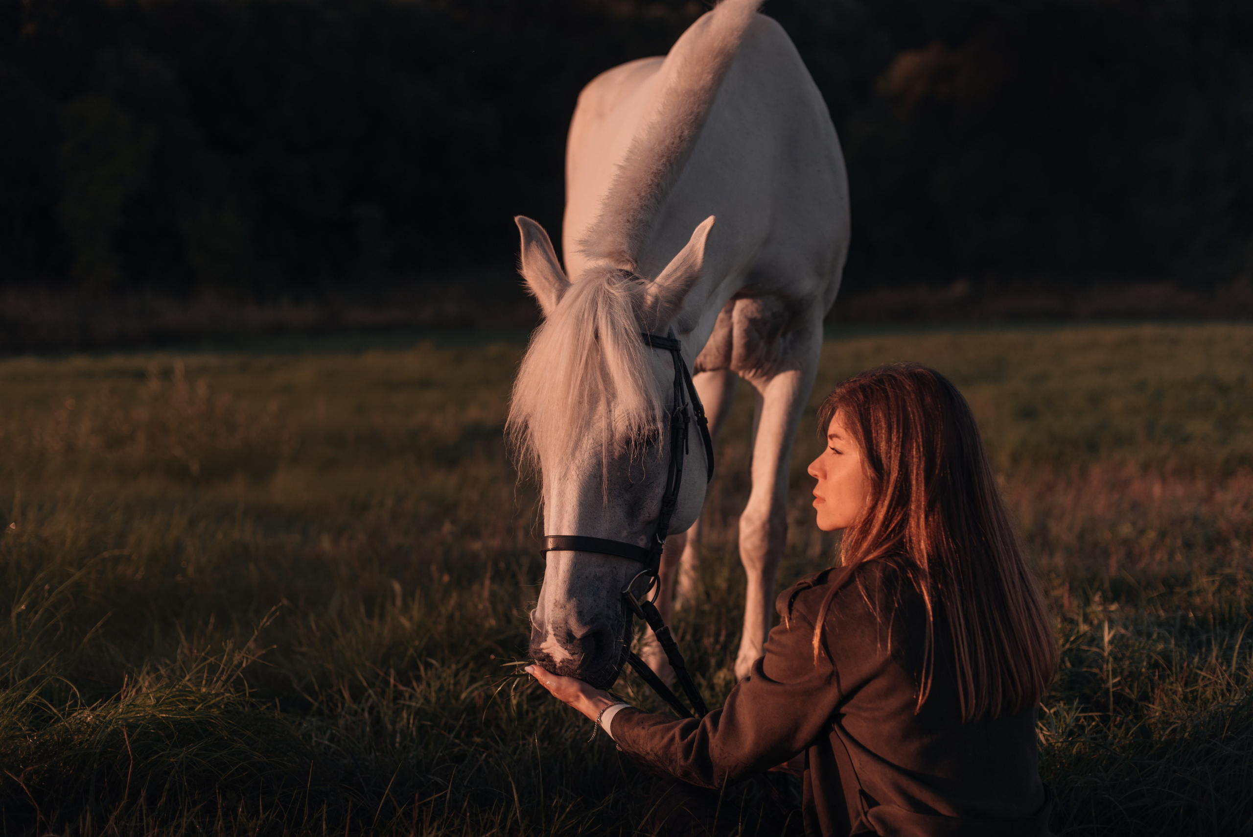 Конное: рассвет на поле с Лерой и Златой. Портфолио