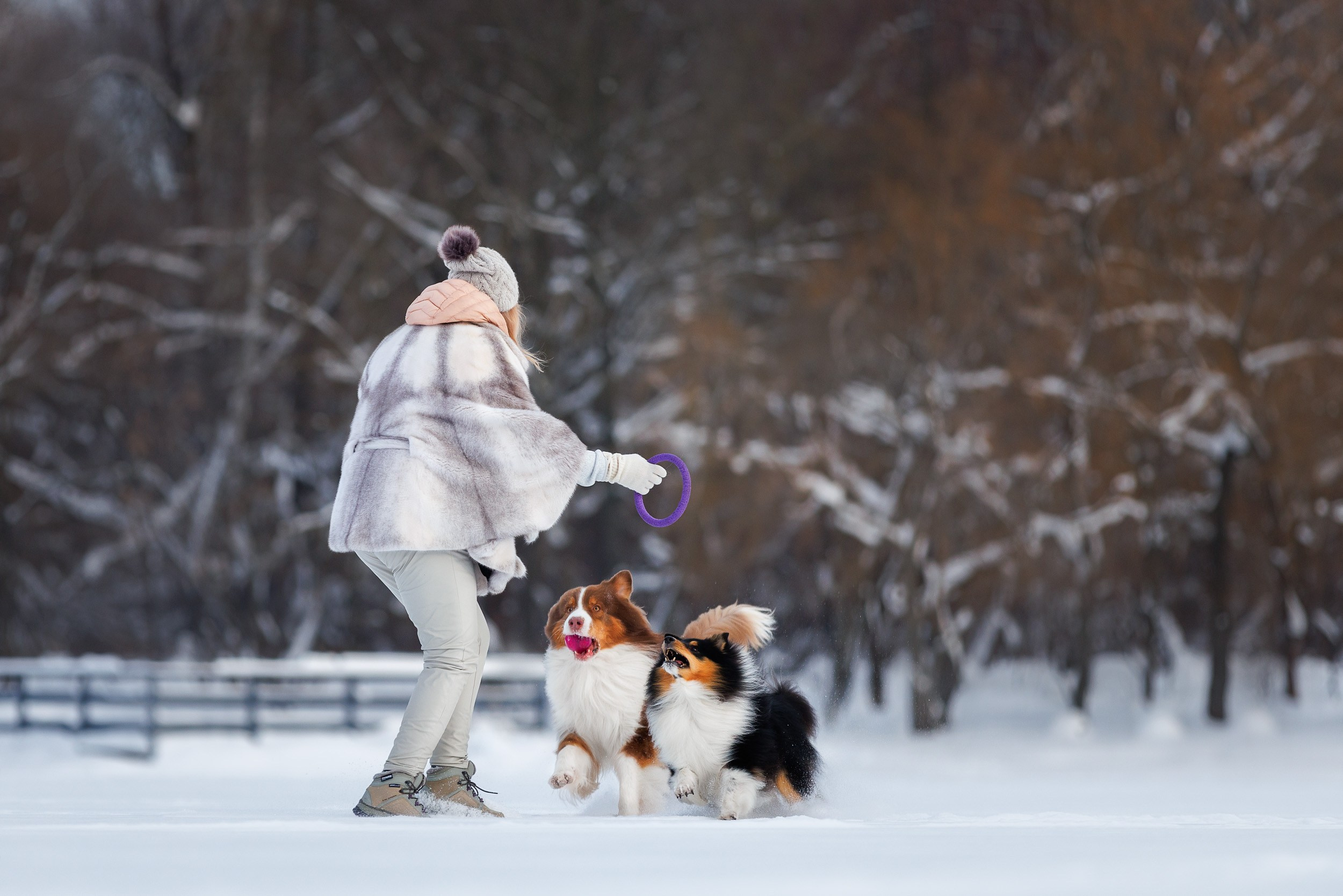 Марик и Дэн. Фотограф-анималист в Москве и Московской области Татьяна Фролова