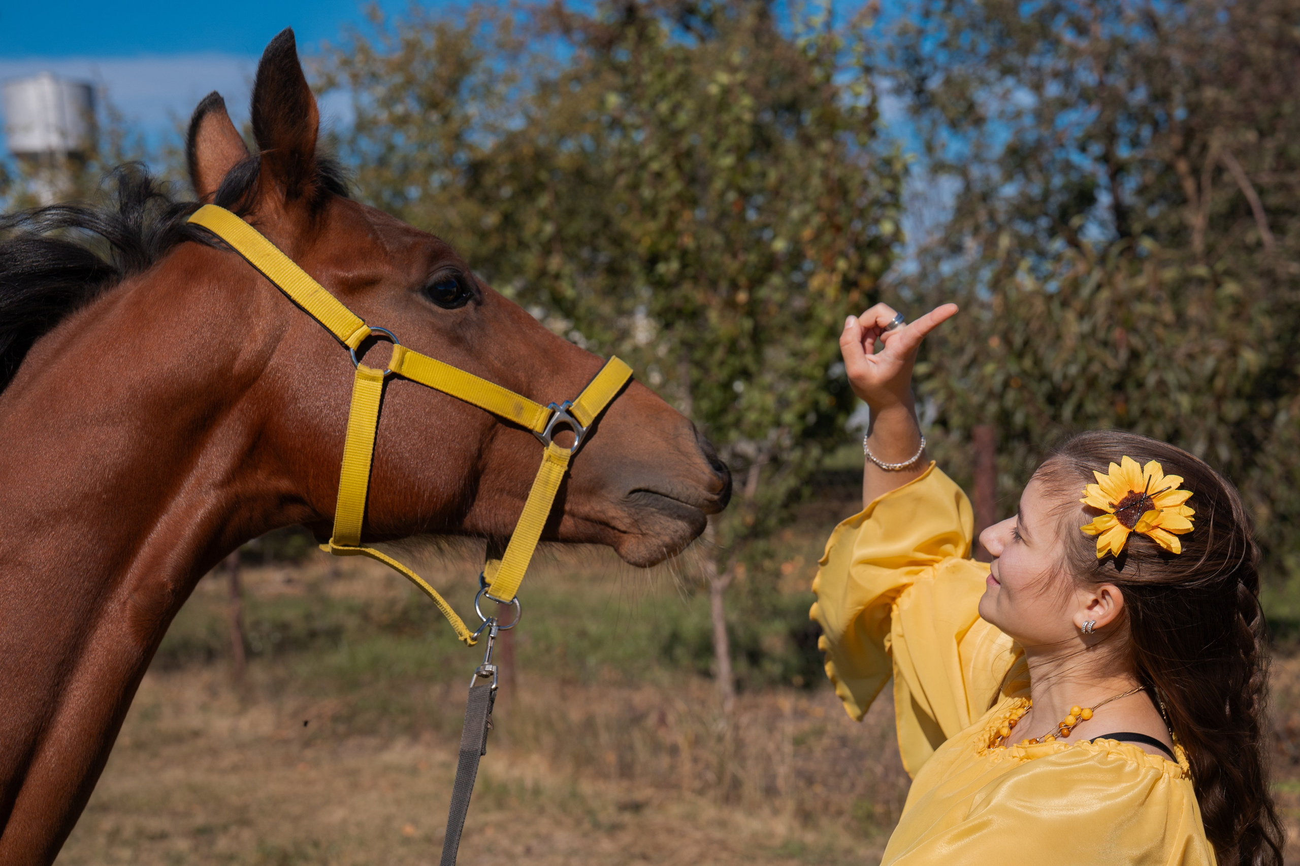 Фотосессия с лошадьми