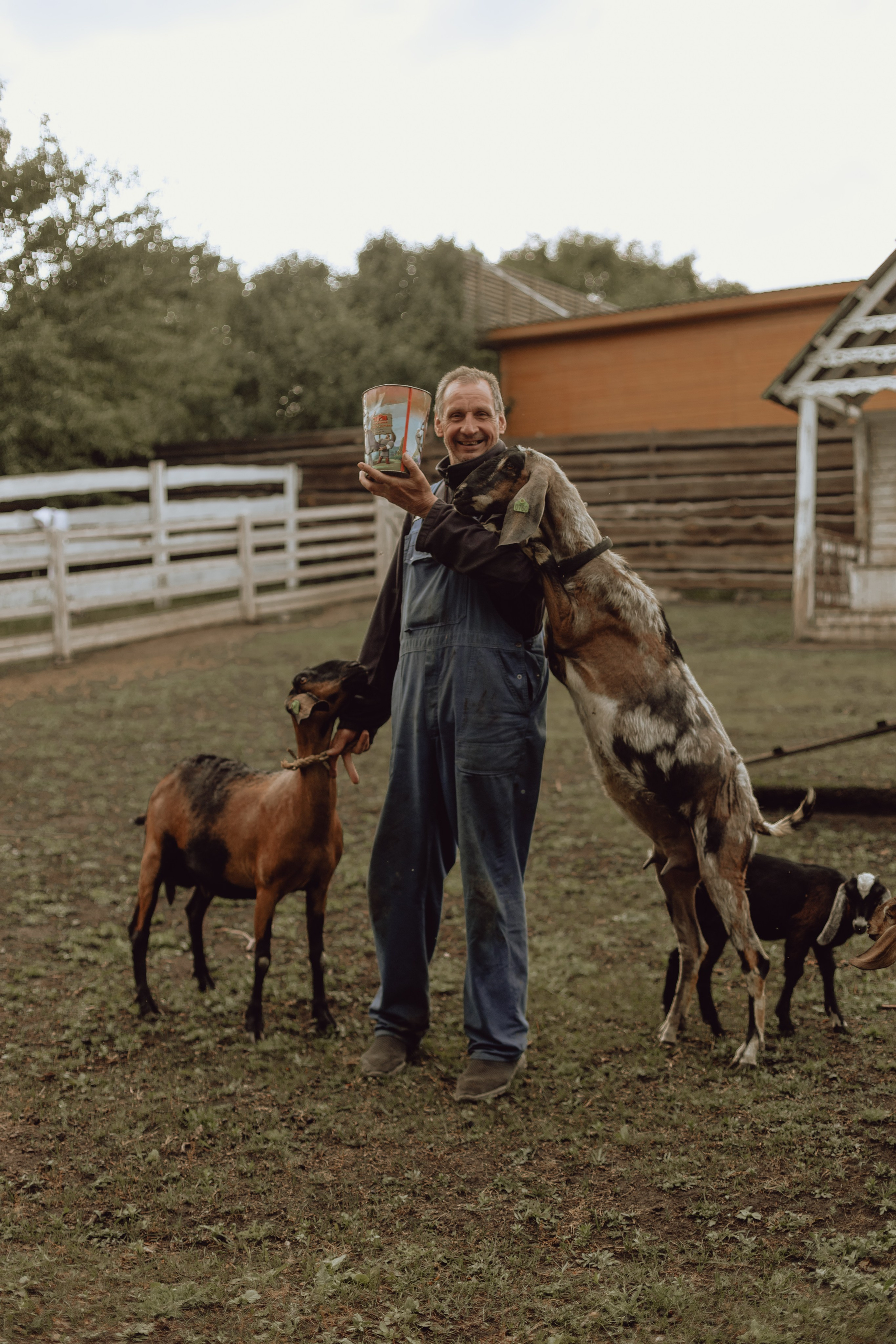 Наташа. Главная