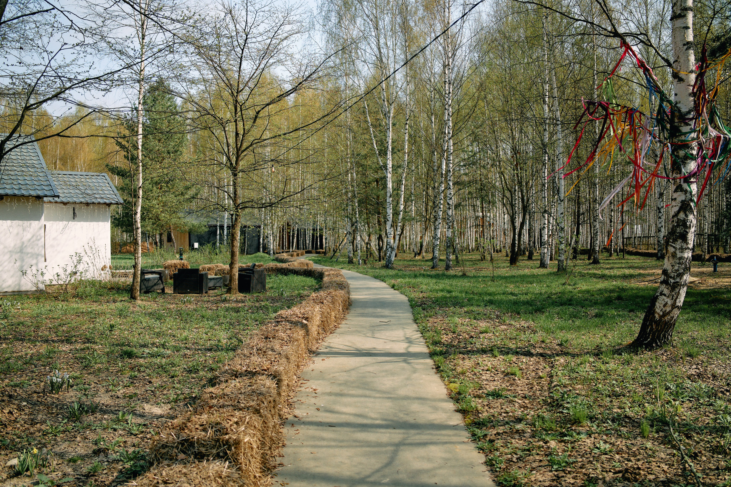 Бутик-отель Поле летом. Профессиональный Фотограф во Владимире, в Москве и в Суздале — Полина Романычева