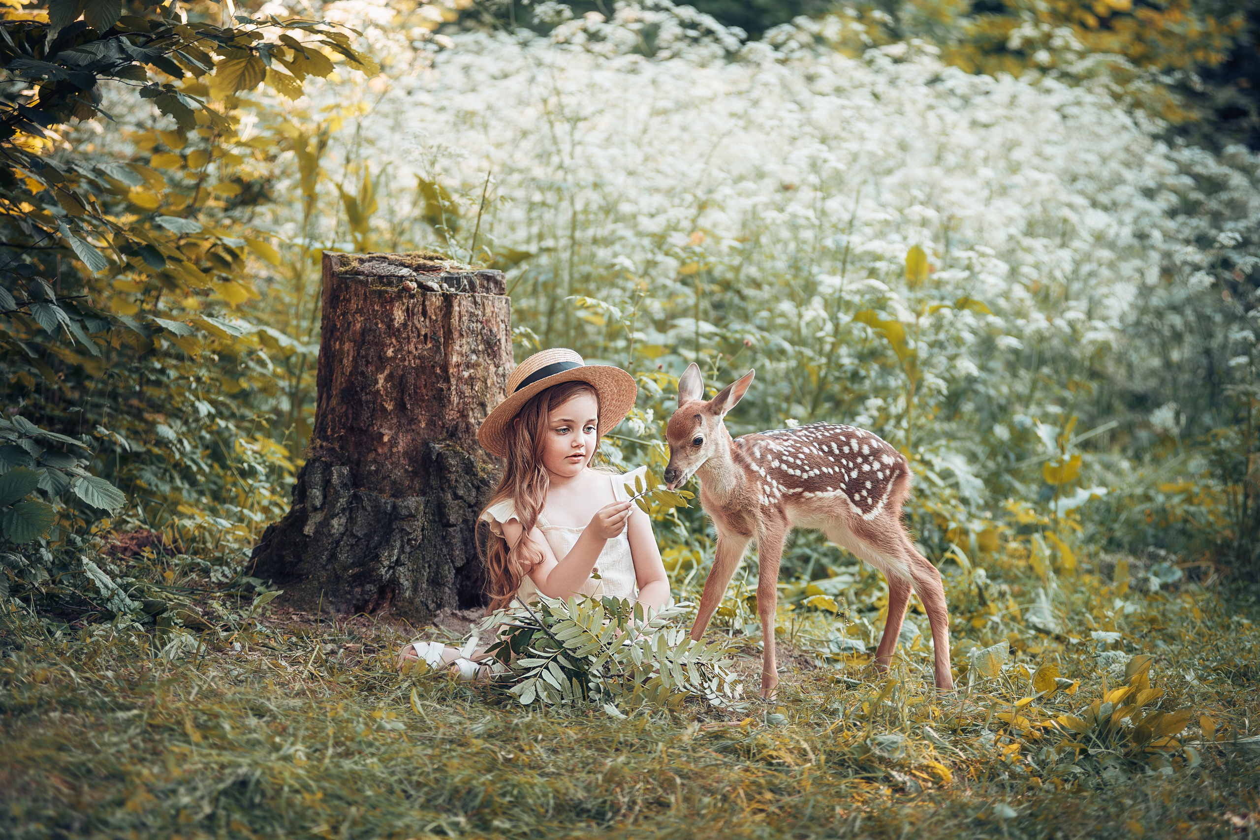 Фотосессия с оленями