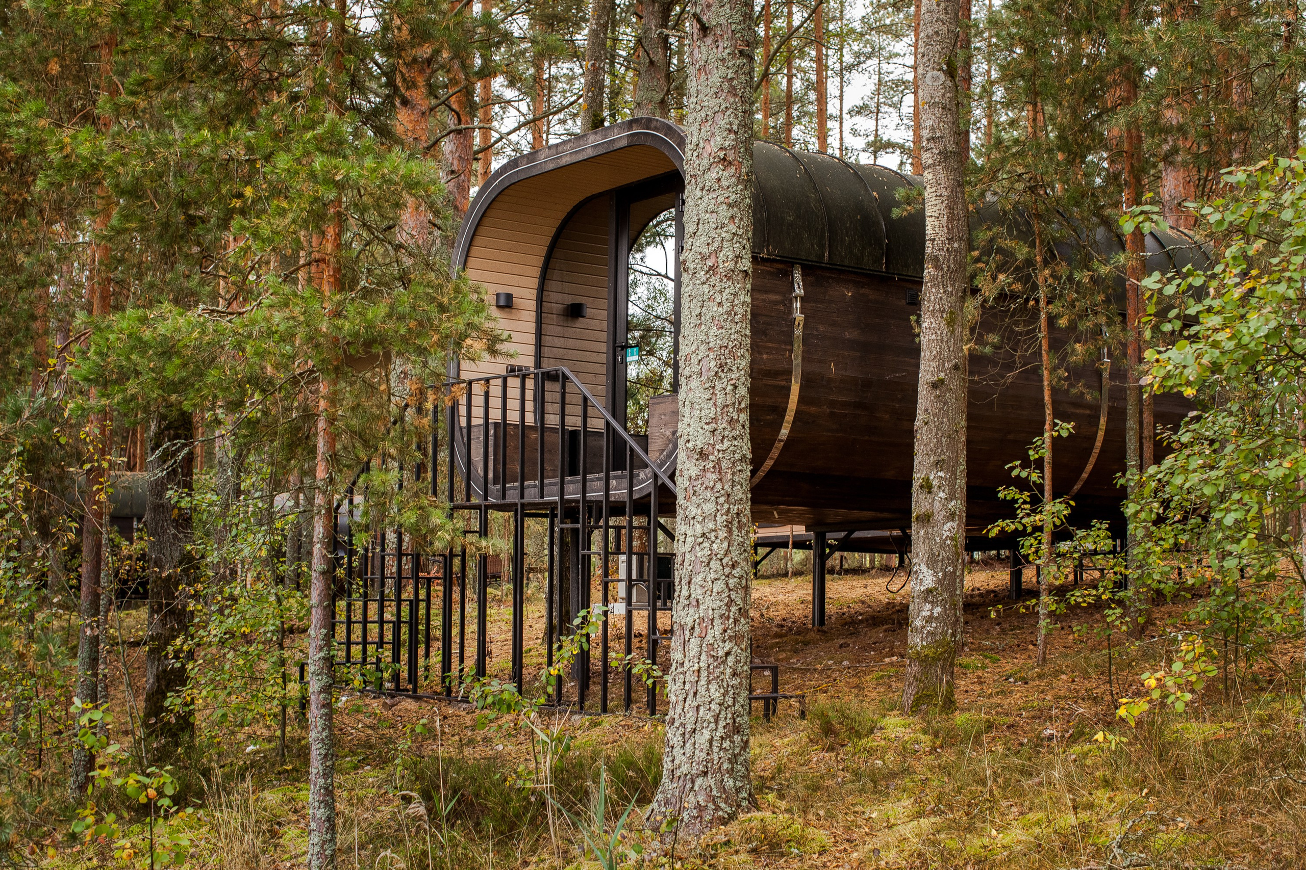 Остров «Свободы». Туманов Виталий — фотограф Москва