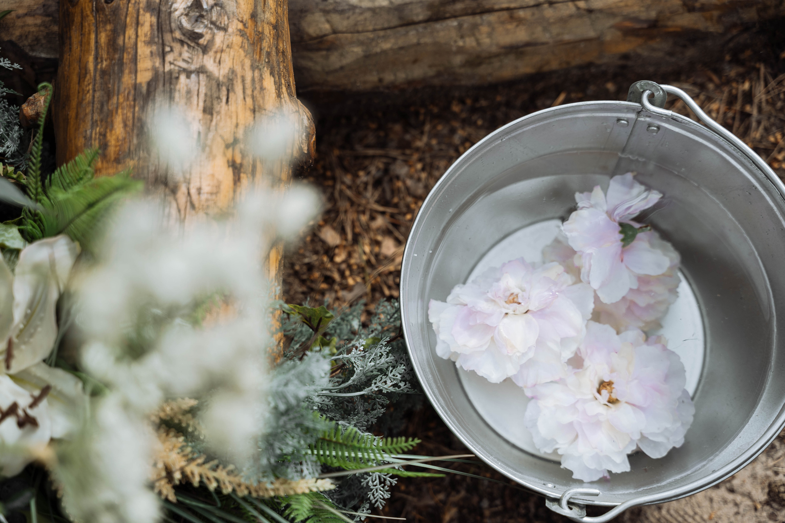 Дмитрий и Мария. Свадебный фотограф в Сургуте