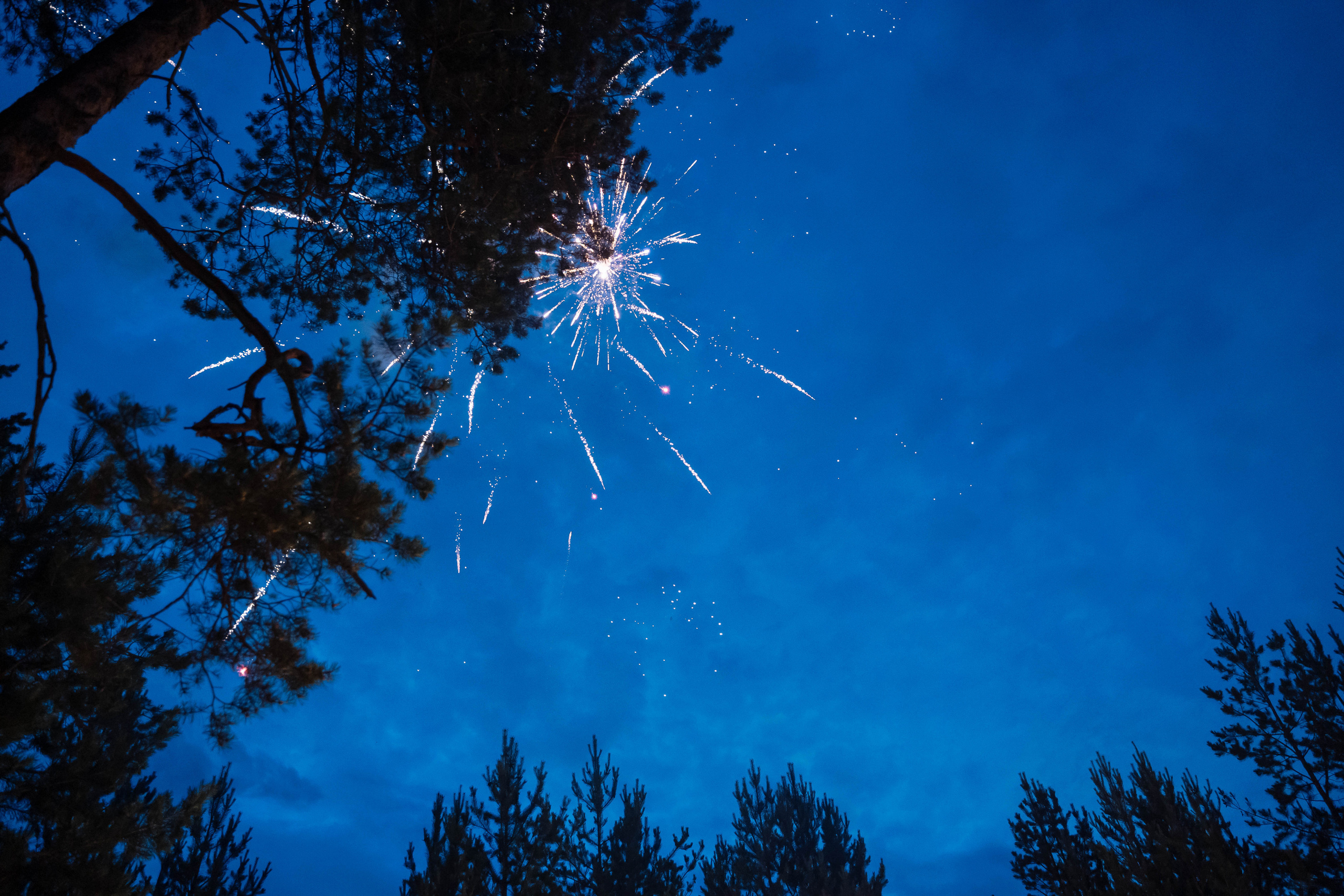 Дмитрий и Мария. Свадебный фотограф в Сургуте