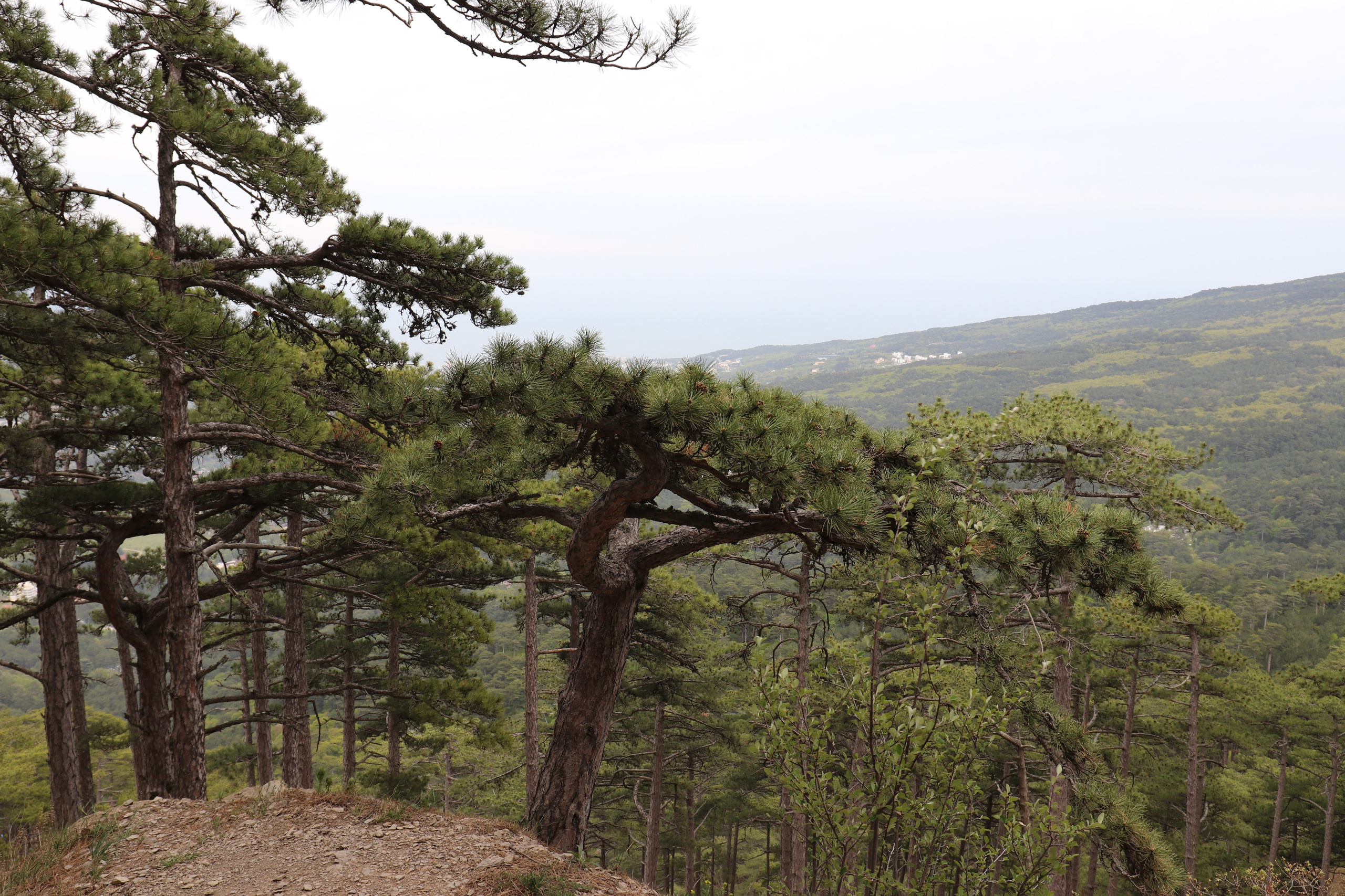 Крым. ЮБК (Бахчисарай, Кастрополь, Таракташская тропа). Май 2021. Путешественник-фотограф из Санкт-Петербурга Татьяна Свистулина