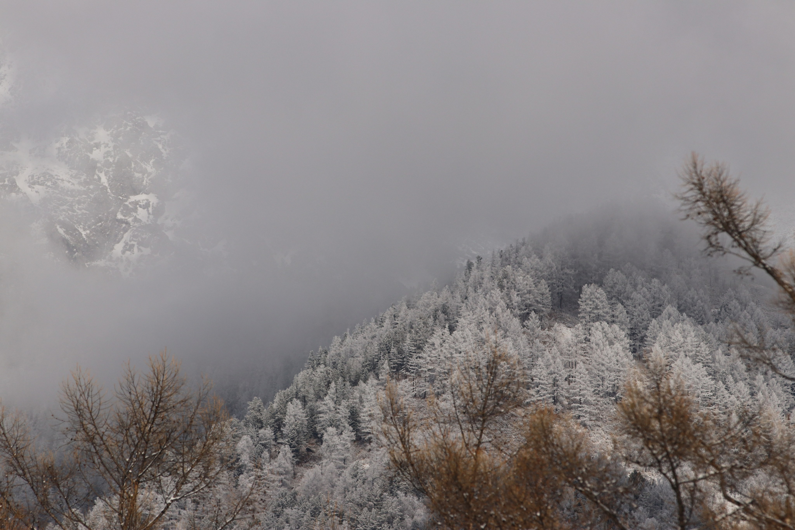 Аршан. Март 2023. Путешественник-фотограф из Санкт-Петербурга Татьяна Свистулина